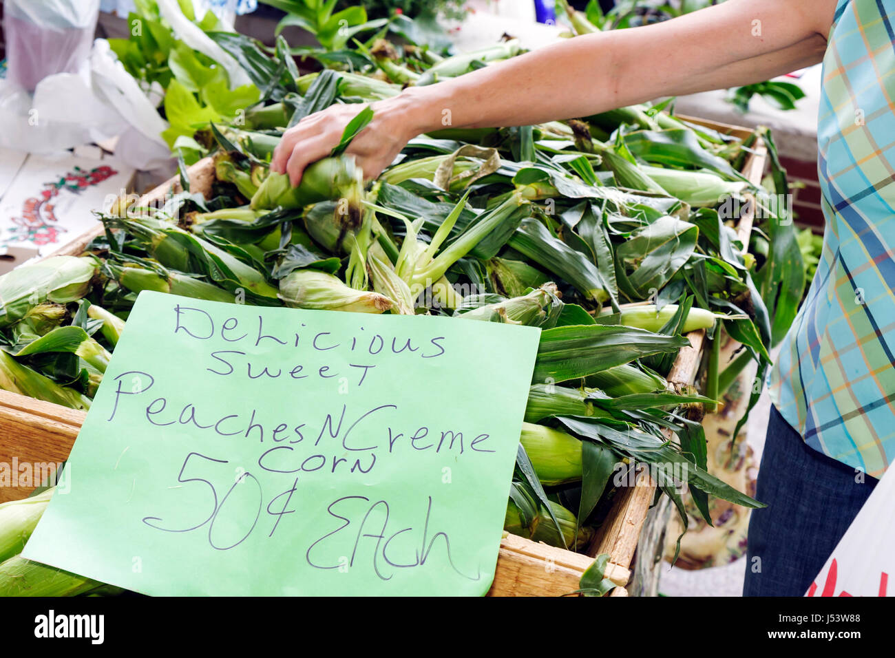 Little Rock Arkansas,River Water Market,Farmers Market,Farmer's,Farmers',acheteurs,vendeurs,produits locaux,balles de maïs,pêches et maïs crème,farmin Banque D'Images