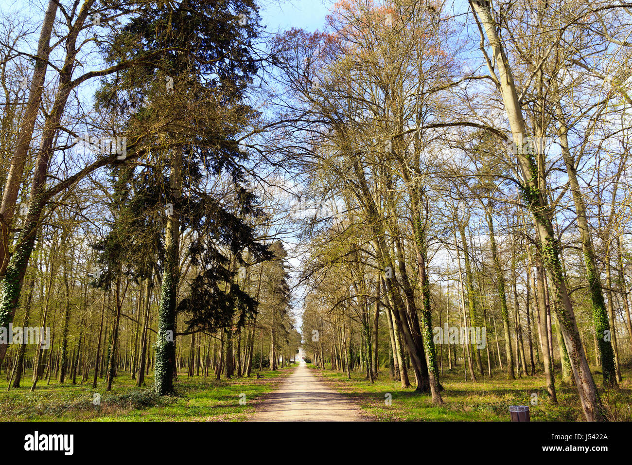 Chemin à travers le parc boisé du Château de Sully-sur-Loire, France Banque D'Images