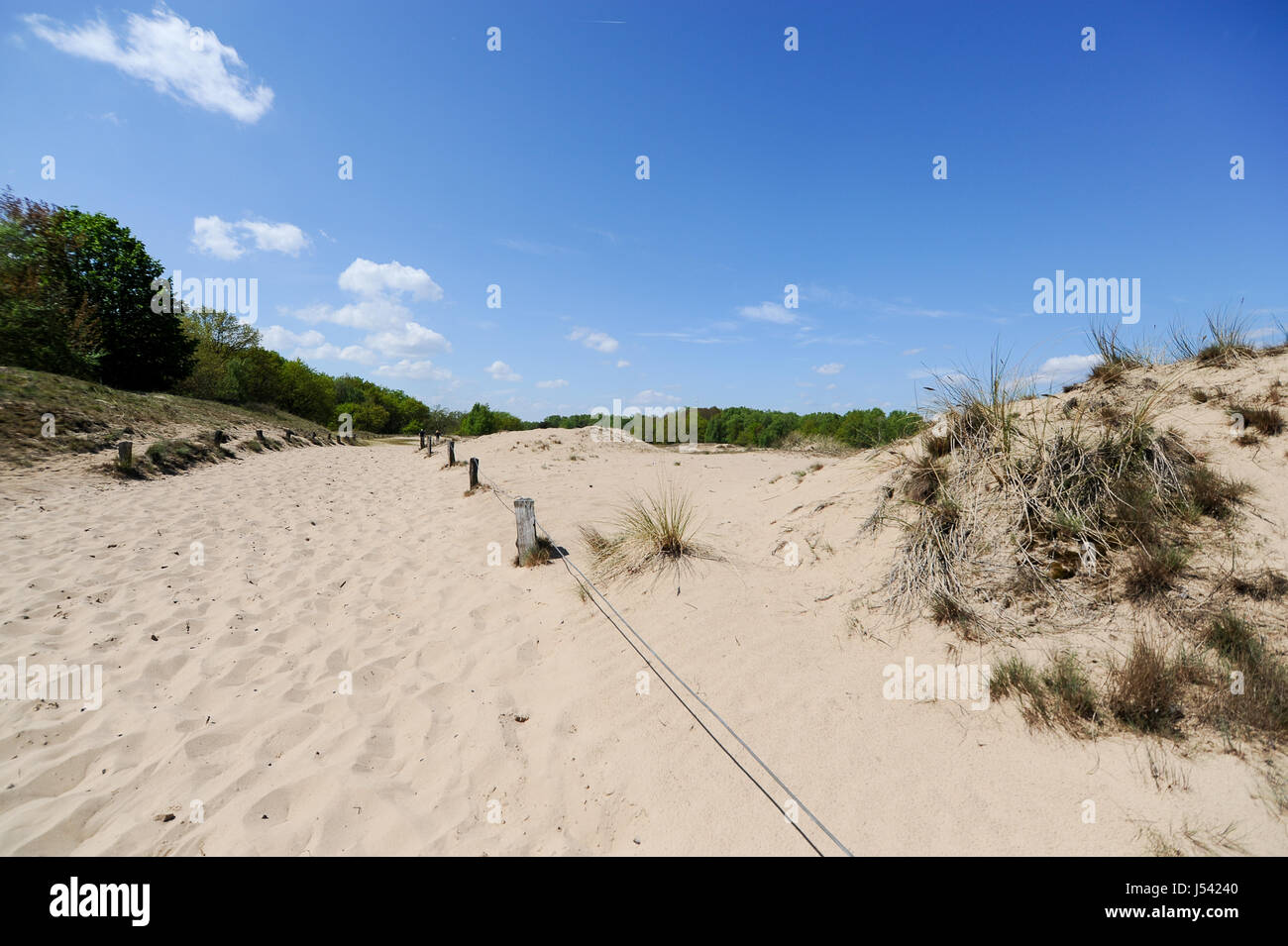 Paysage de dunes, ou l'Boberger Boberger Duenen, dans le sud-ouest de Hambourg, Allemagne. Banque D'Images