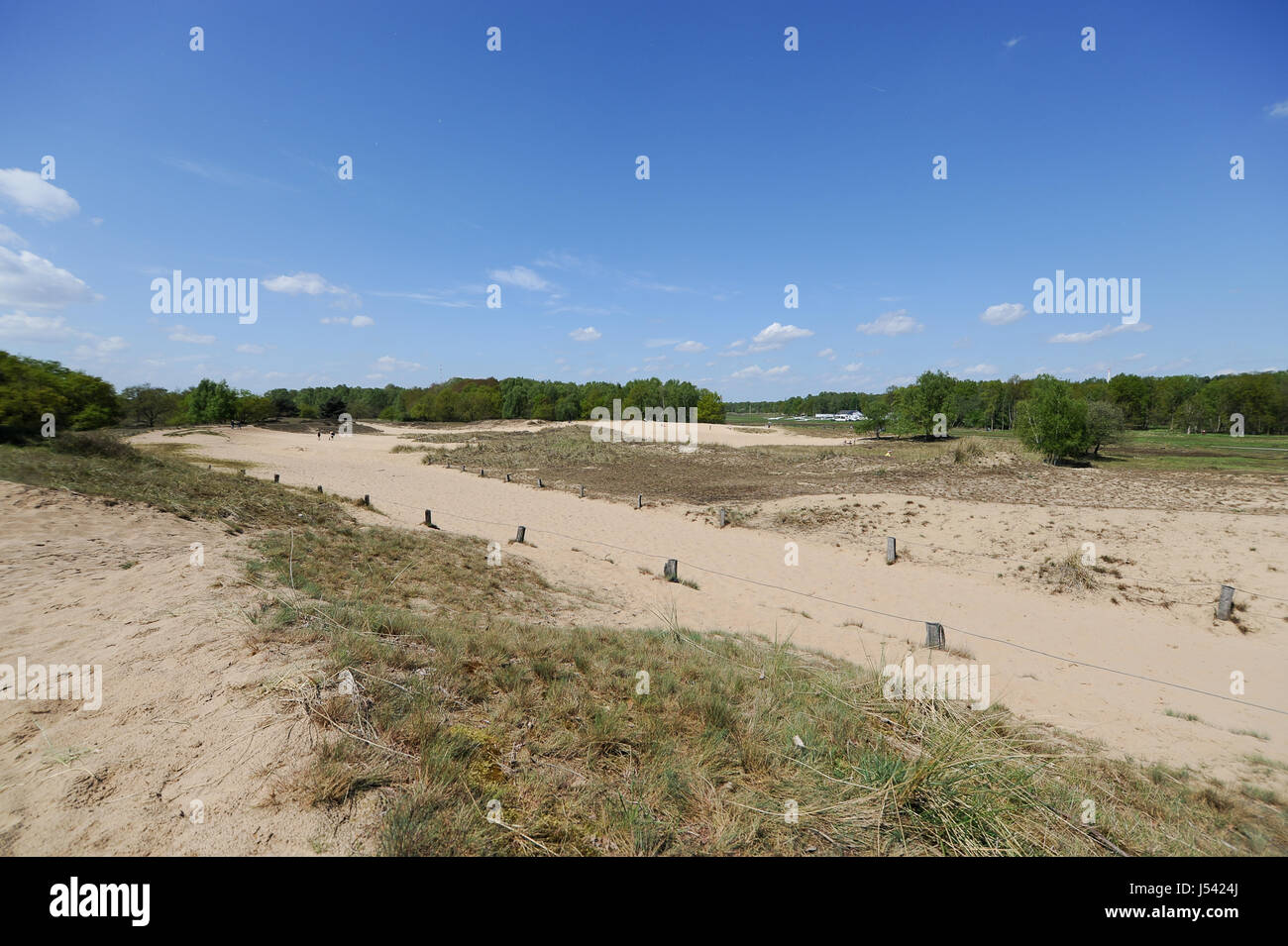 Paysage de dunes, ou l'Boberger Boberger Duenen, dans le sud-ouest de Hambourg, Allemagne. Banque D'Images