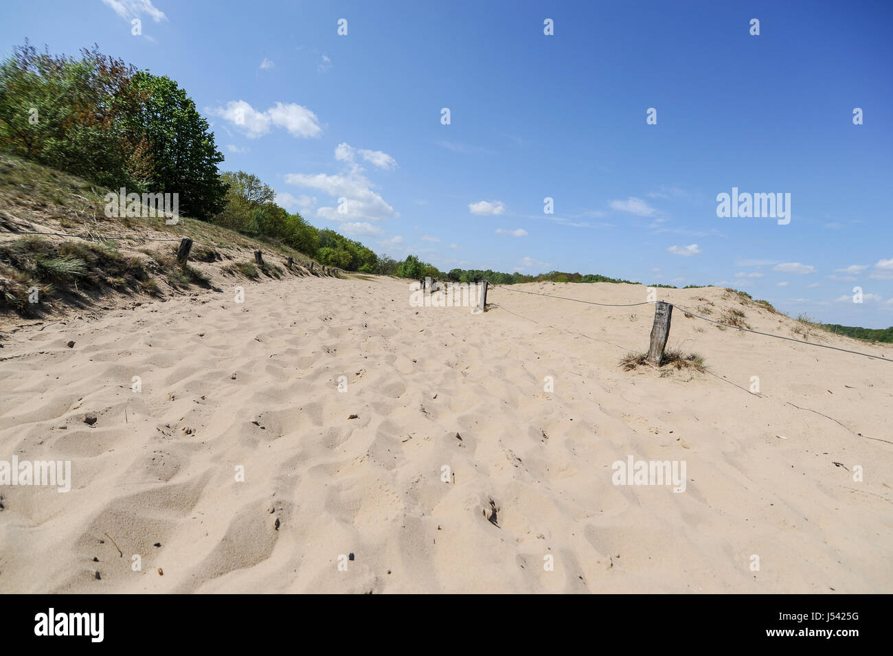 Paysage de dunes, ou l'Boberger Boberger Duenen, dans le sud-ouest de Hambourg, Allemagne. Banque D'Images