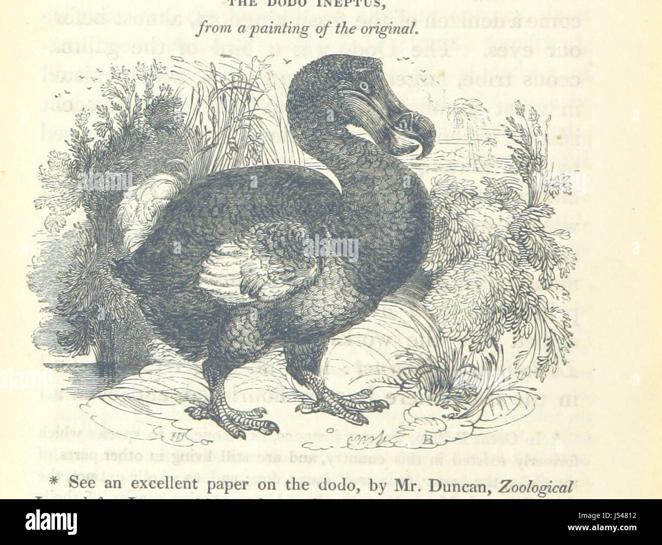 La géologie du sud-est de l'Angleterre Banque D'Images