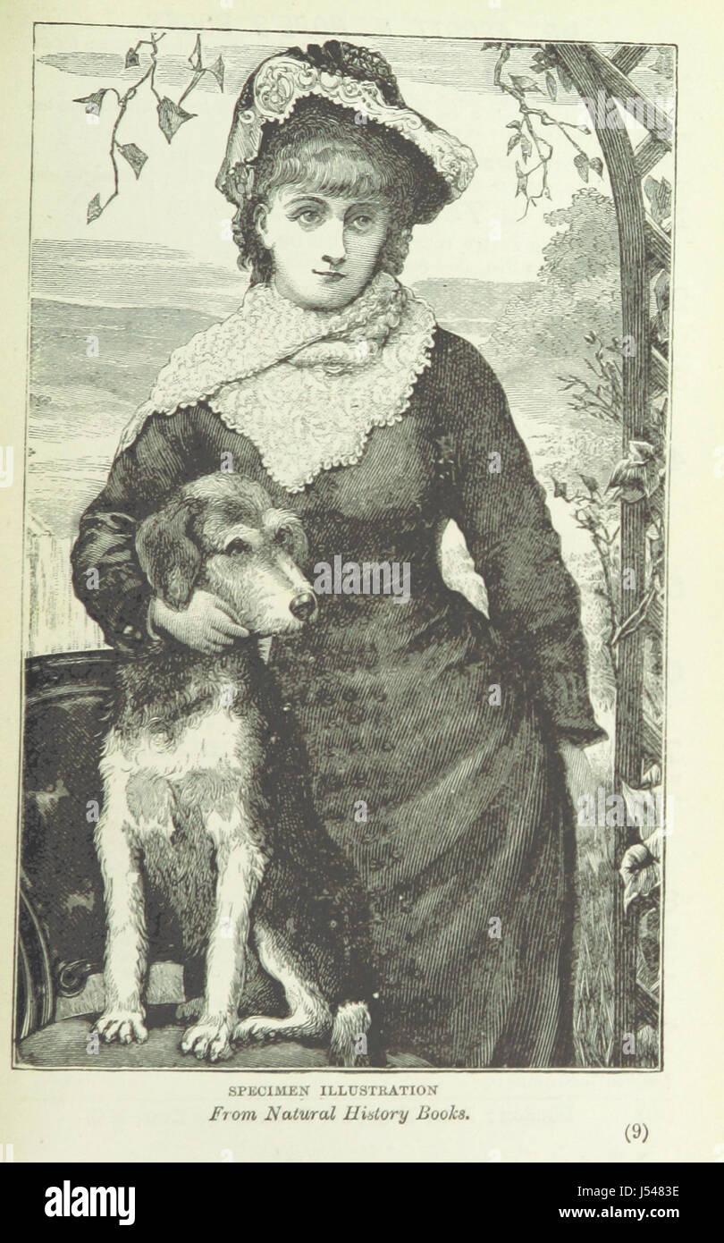 Redskin and Paleface : Romance and Adventure of the Plains est un roman explorant la frontière américaine, rempli de thèmes d'aventure, de romance et de conflit historique entre les Amérindiens et les colons. Le livre comprend douze illustrations. Banque D'Images Redskin and Paleface : Romance and Adventure of the Plains est un roman explorant la frontière américaine, rempli de thèmes d'aventure, de romance et de conflit historique entre les Amérindiens et les colons. Le livre comprend douze illustrations. Banque D'Images