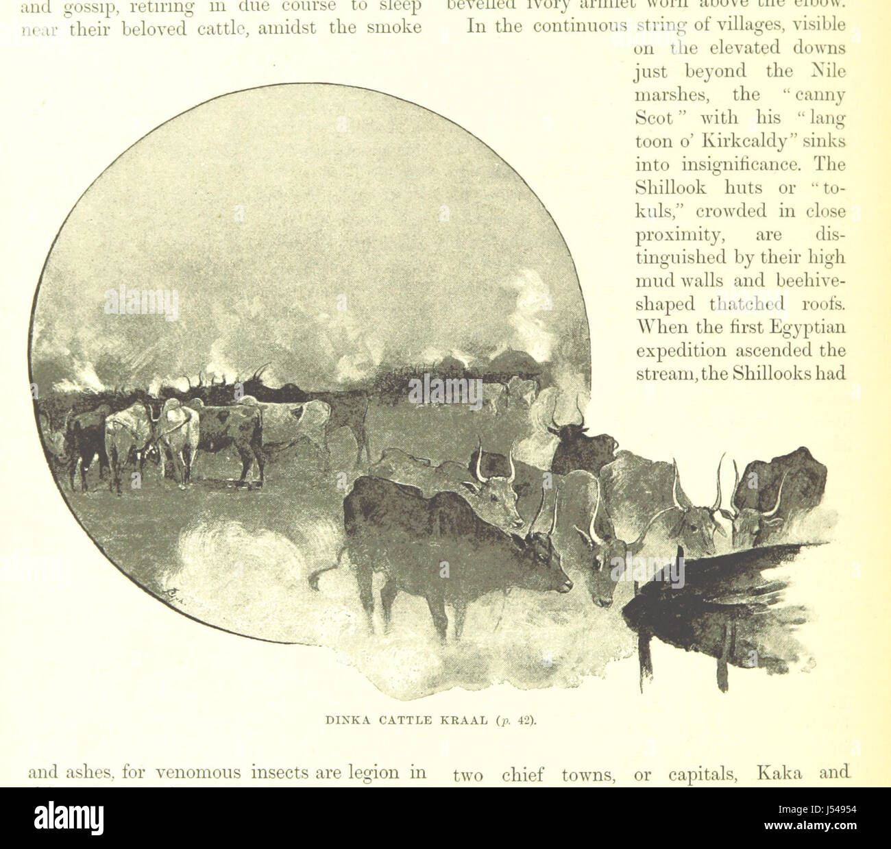 « L'histoire de l'Afrique et de ses explorateurs » est un récit historique détaillant l'exploration de l'Afrique, avec des cartes et des plaques illustrant les moments clés et les voyages des explorateurs à travers le continent. Banque D'Images