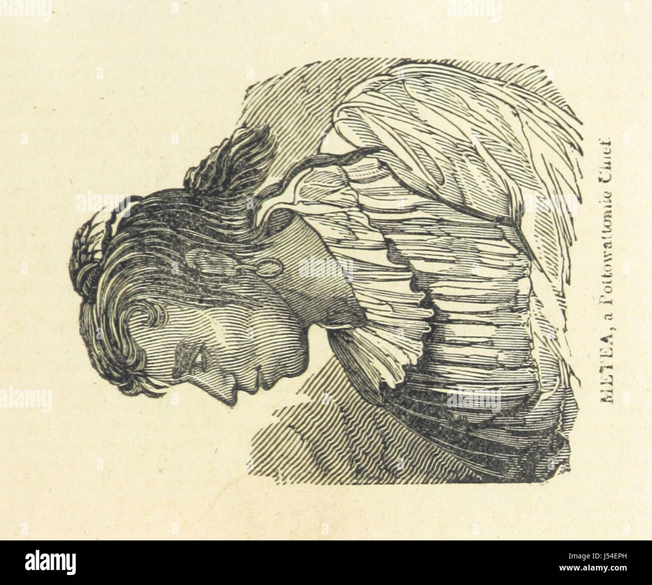 Cet ouvrage fournit une biographie détaillée et l'histoire des Amérindiens, y compris leurs guerres et leur histoire culturelle. Il présente également une analyse des auteurs qui ont écrit sur le premier peuple de l'Amérique, offrant un aperçu de l'expérience amérindienne. Banque D'Images