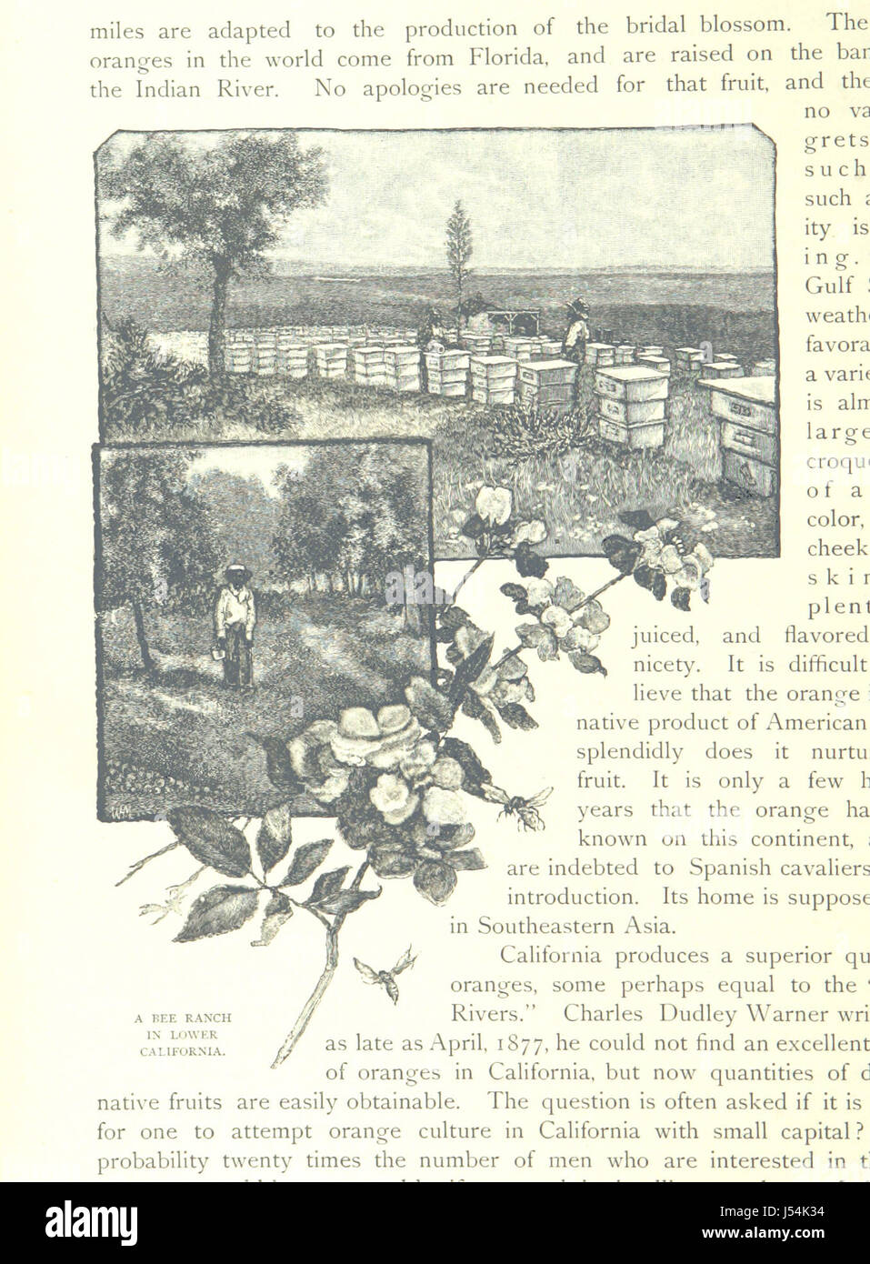 Mémorial de l'histoire de l'Amérique, comprenant les événements importants, les épisodes, et d'incidents qui constituent le dossier de quatre cents ans de 1492 à 1892, etc Banque D'Images