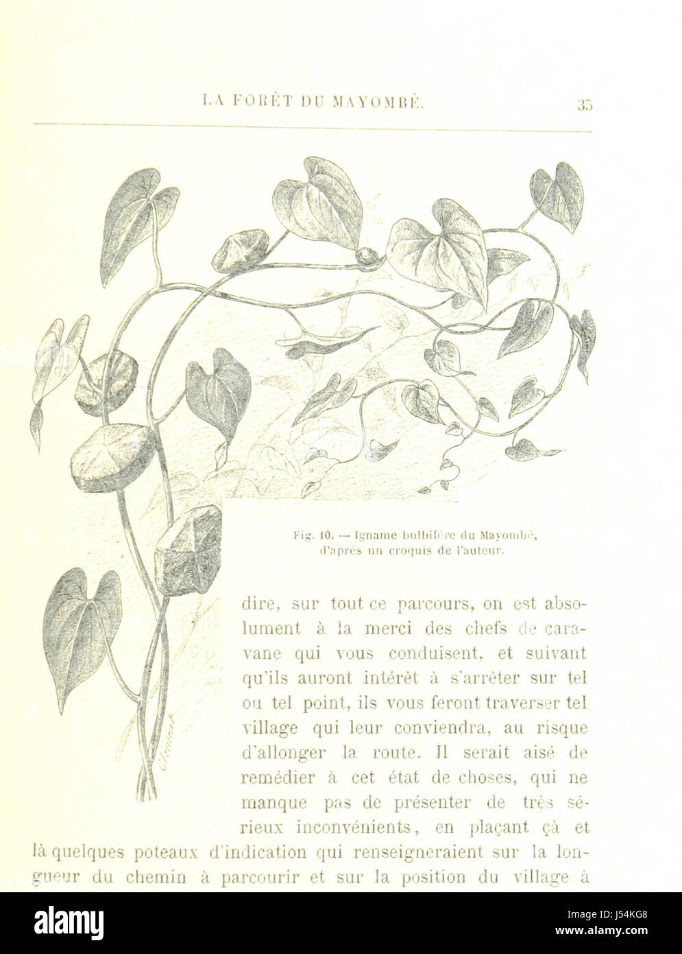 Cette œuvre illustrée, intitulée 'la route du Tchad', détaille le voyage de Loango à Chari, une région d'Afrique centrale. Il présente des informations géographiques, culturelles et historiques sur la région. Banque D'Images