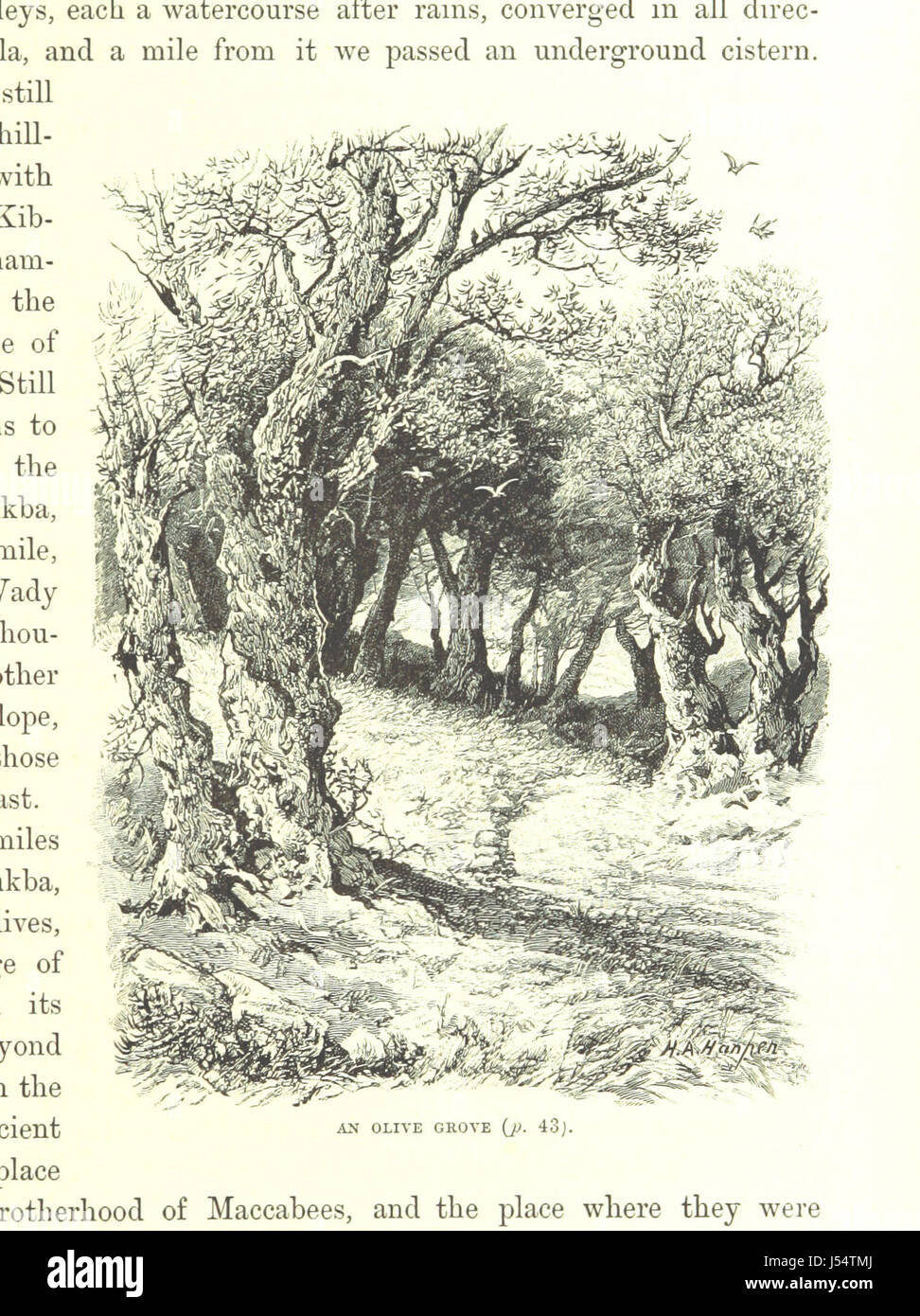 [La Terre Sainte et de la Bible. Un livre d'écriture illustrations recueillies en Palestine, etc.] Banque D'Images