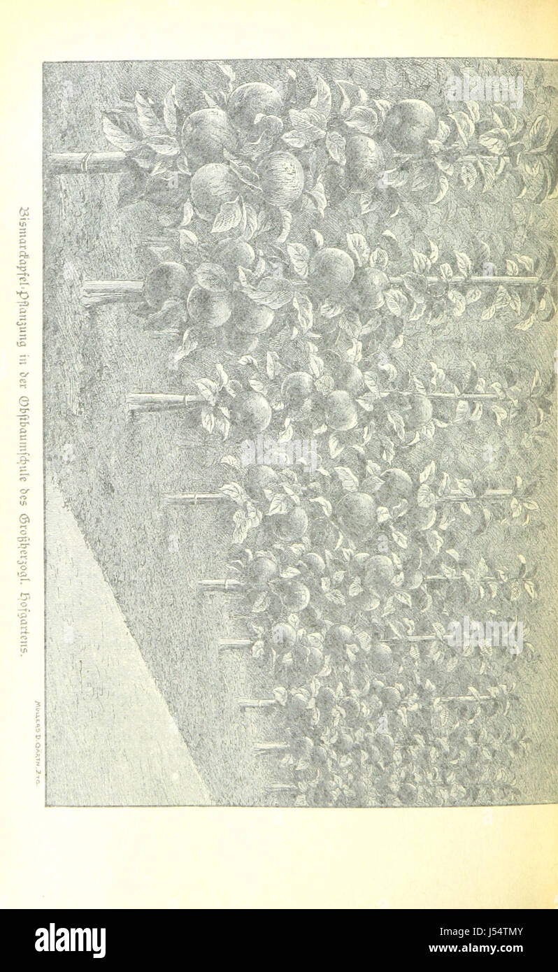 Un récit historique intitulé Geschichte der Stadt Baden von den ältesten Zeiten bis auf die Gegenwart, détaillant l'histoire de Baden de l'Antiquité à nos jours, accompagné d'illustrations. Banque D'Images