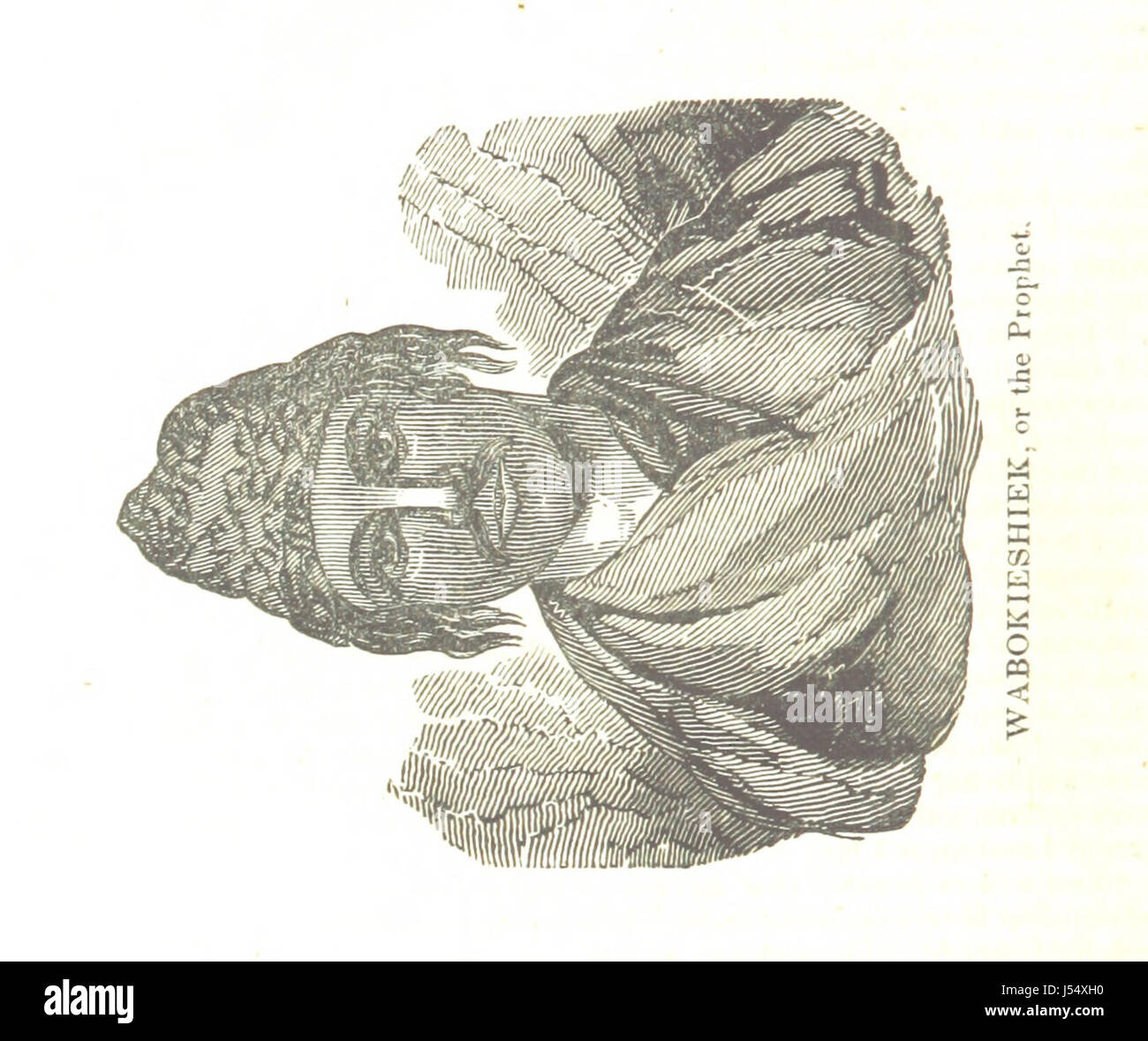 [Biographie et l'histoire des Indiens d'Amérique du Nord ... également l'histoire de leurs guerres ... De même présentant une analyse de la ... les auteurs, qui ont écrit sur ... le premier peuplement de l'Amérique. Troisième édition, avec des additions et corrections ... ... ... gravures.] Banque D'Images