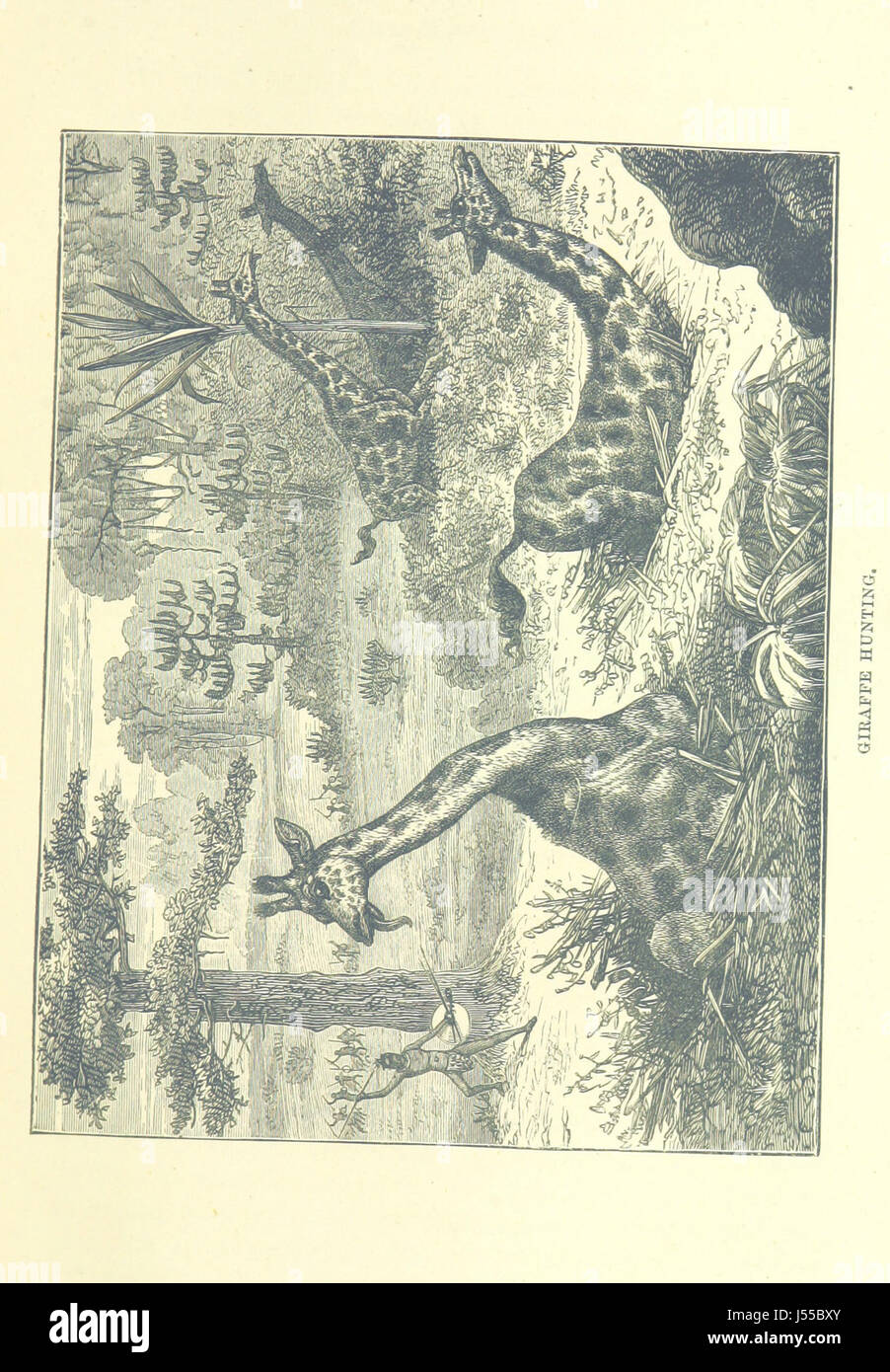 Beaucoup de voyageurs, de l'Afrique Mungo Park et Bruce Livingstone et Stanley ... Avec des illustrations ... Banque D'Images