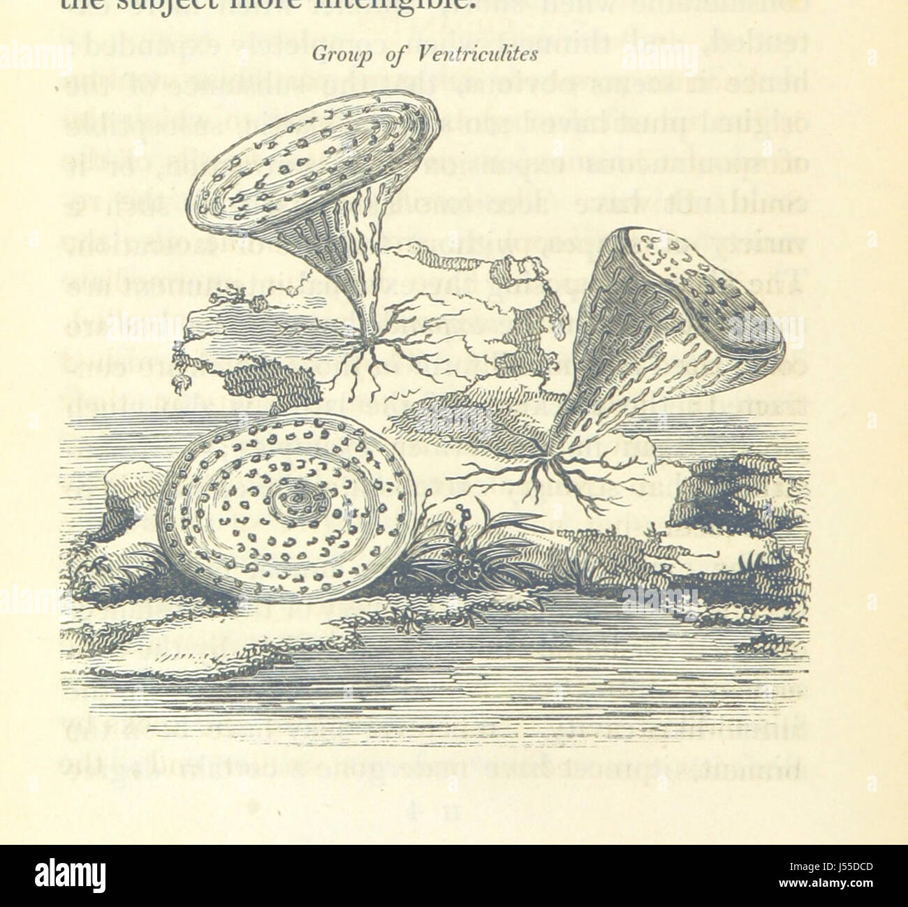 Image prise à partir de la page 134 de "La géologie de l'Asie du Sud-Est de l'Angleterre' Banque D'Images