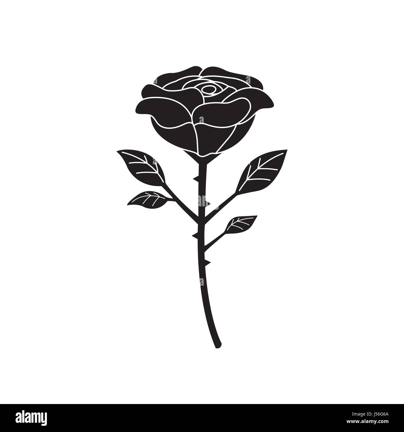 Dessin Rose Avec Tige Tatouage Rose tattoo art Banque de photographies et d'images à haute résolution -  Alamy