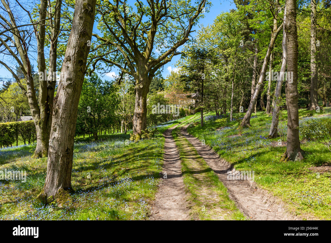 Parcevall Hall Gardens, près de Appletreewick, Wharfedale, Yorkshire Dales National Park, North Yorkshire, England, UK Banque D'Images