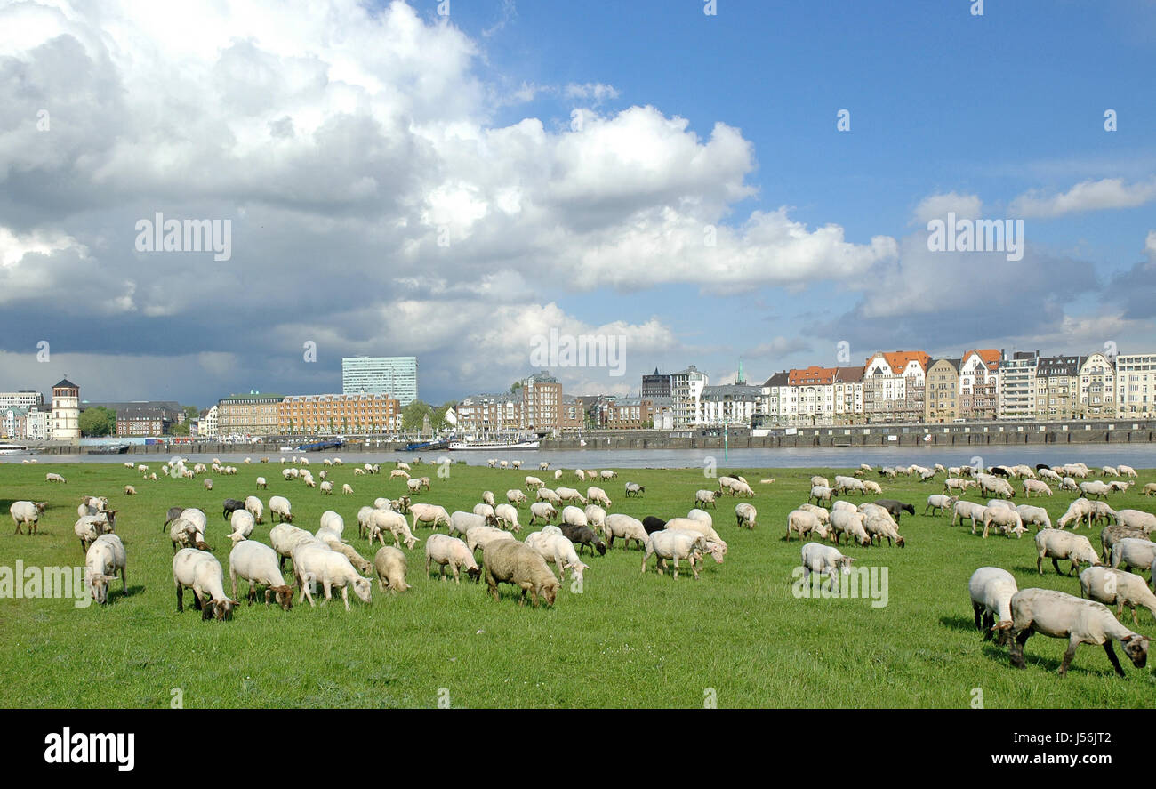 Pays Ville-Idyll Banque D'Images