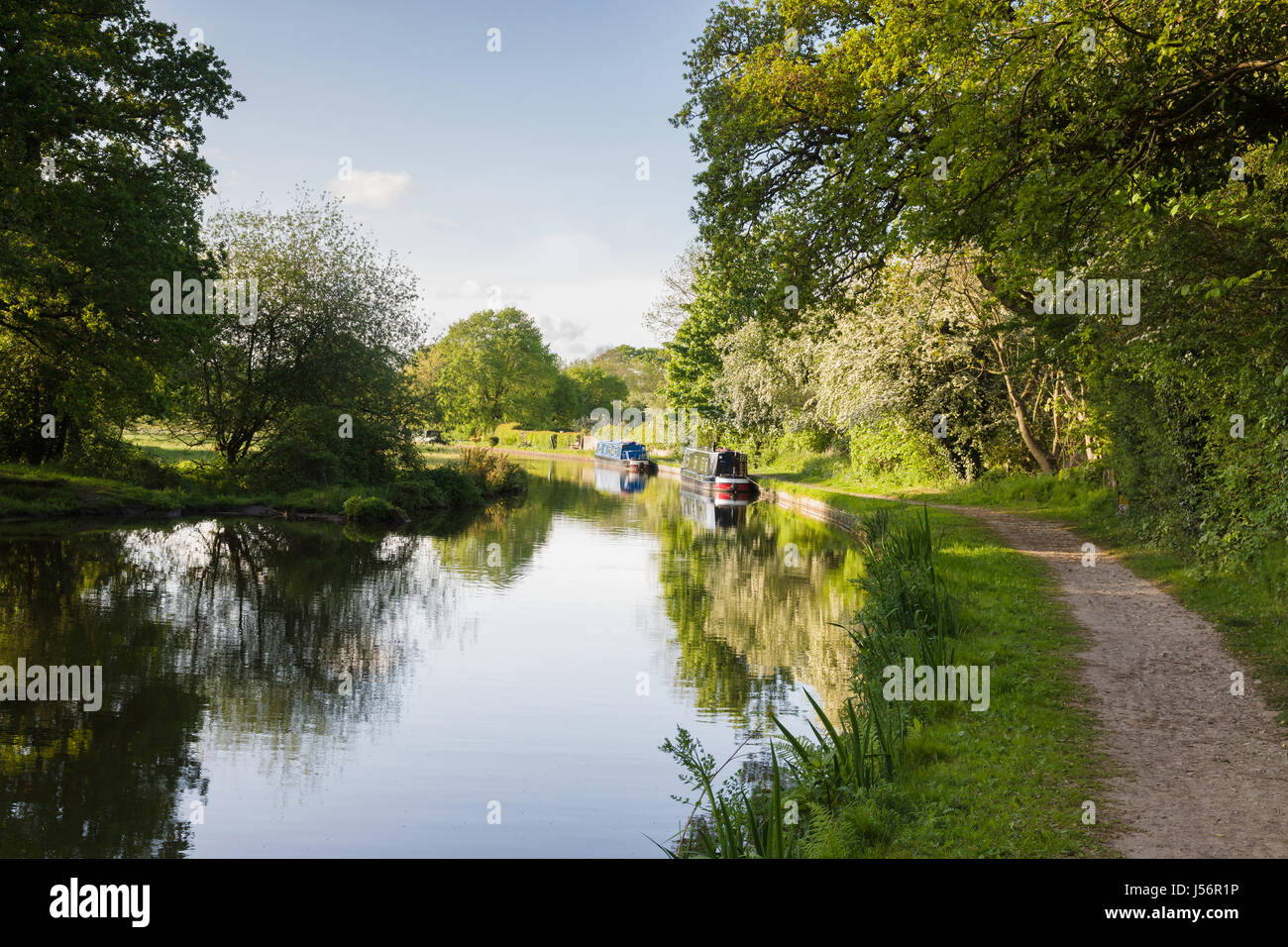 Une vue idyllique sur les 200 ans du canal de Shropshire Union en Angleterre avec la traditionnelle narrowboats amarré sur la banque Banque D'Images