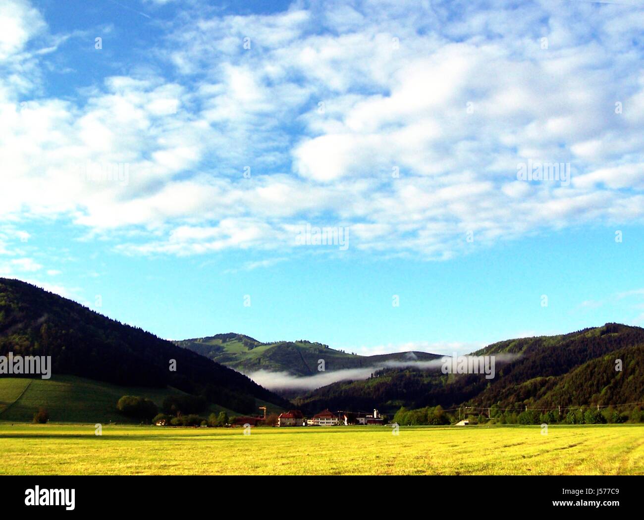 ,Arbre,arbres,horizon,nuage,brouillard,vallée de la forêt noire,meadow,ciel,ciel,vert,pelouse Banque D'Images