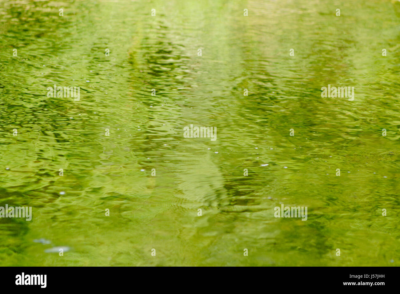 Réflexions de l'eau verte. Banque D'Images