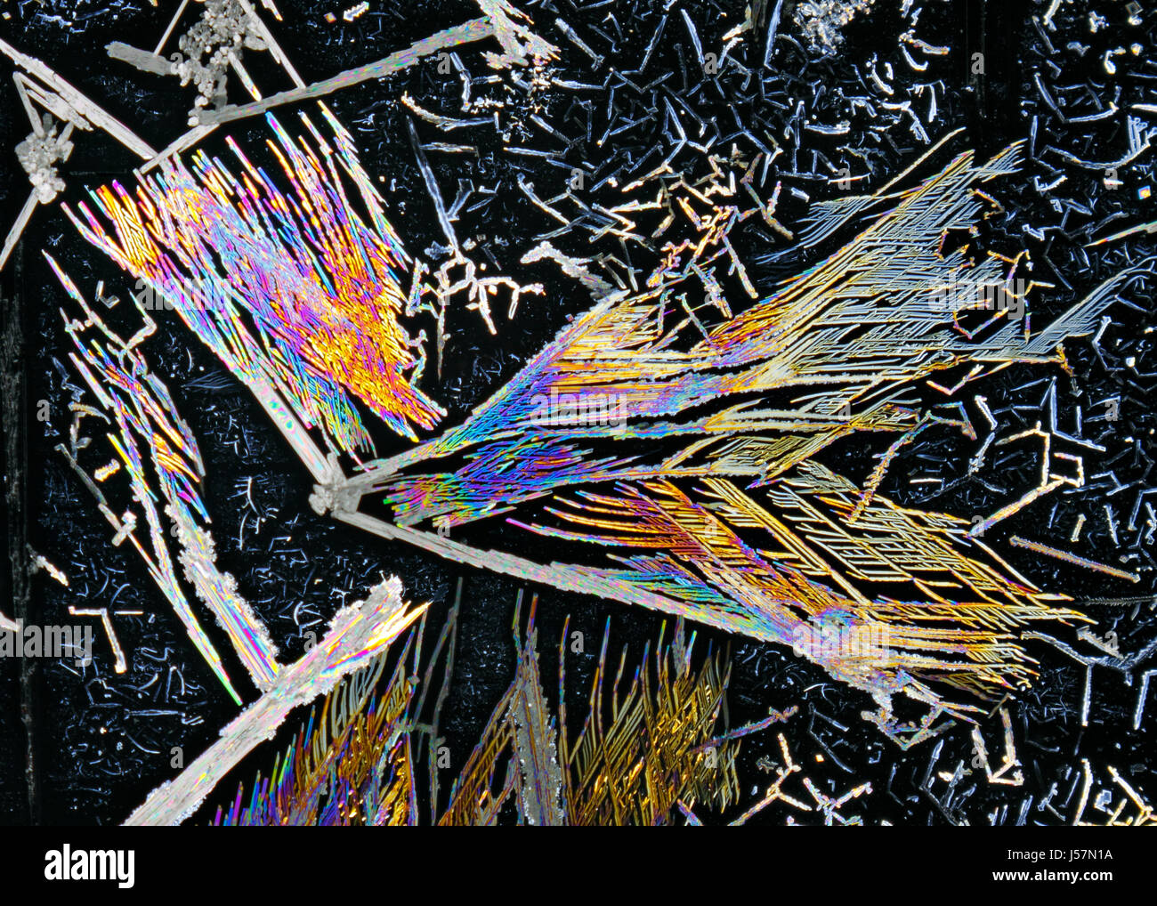 Vue microscopique des cristaux colorés du nitrate de potassium. La lumière polarisée, polariseurs croisés. Banque D'Images