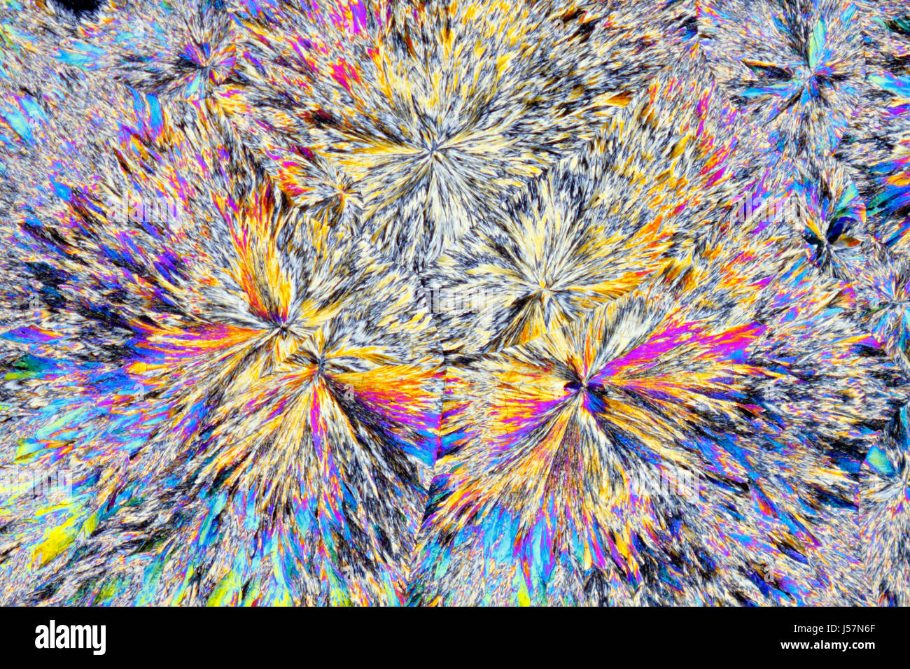 Vue microscopique des cristaux d'acide citrique. La lumière polarisée, polariseurs croisés. Banque D'Images