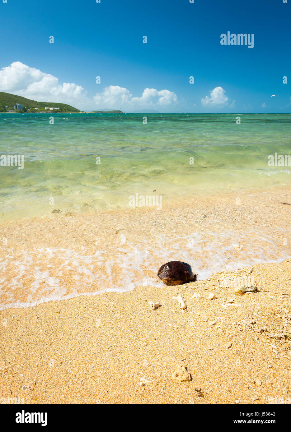 Scène de plage d'été dans les régions tropicales Nouméa avec coque de noix de coco sur le sable Banque D'Images