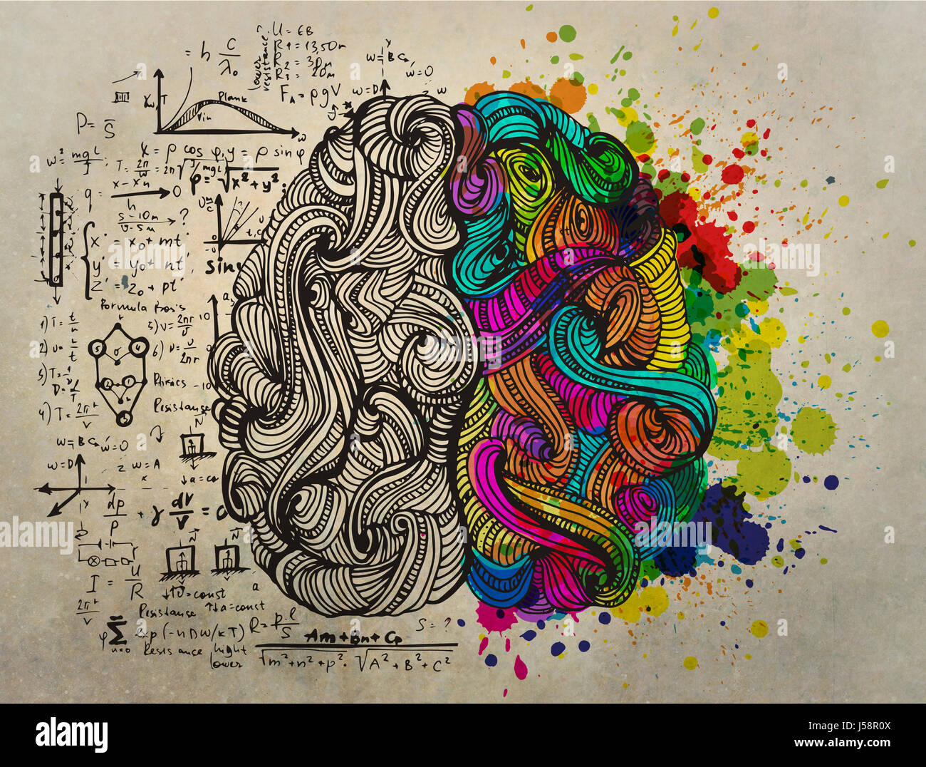 Doodle cerveau créatif concept à propos du côté droit et côté gauche logique Banque D'Images