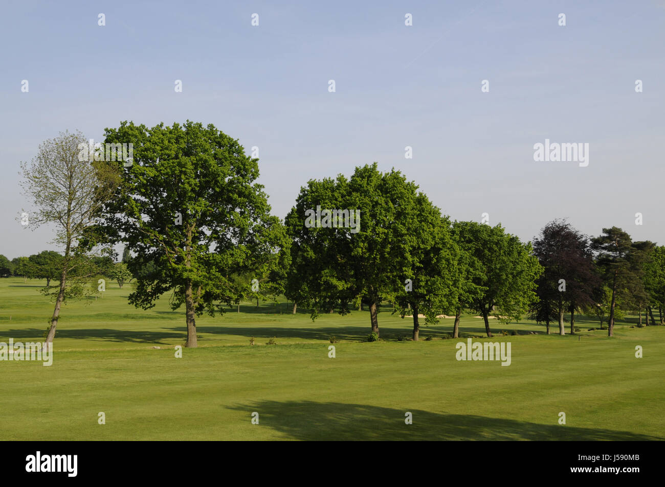 Vue sur le 17ème fairway et du troisième trou au-delà les arbres, Royal Blackheath Golf Club, Blackheath, Kent, Angleterre Banque D'Images