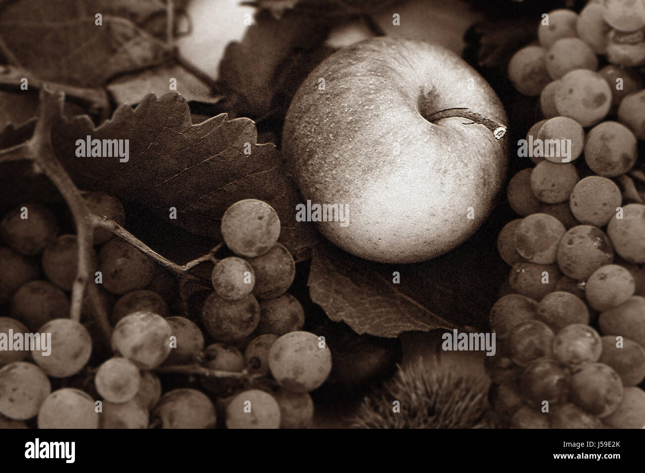 Les pommes d'automne raisins peinture pleine d'atmosphère apple Carte postale Carte part Banque D'Images