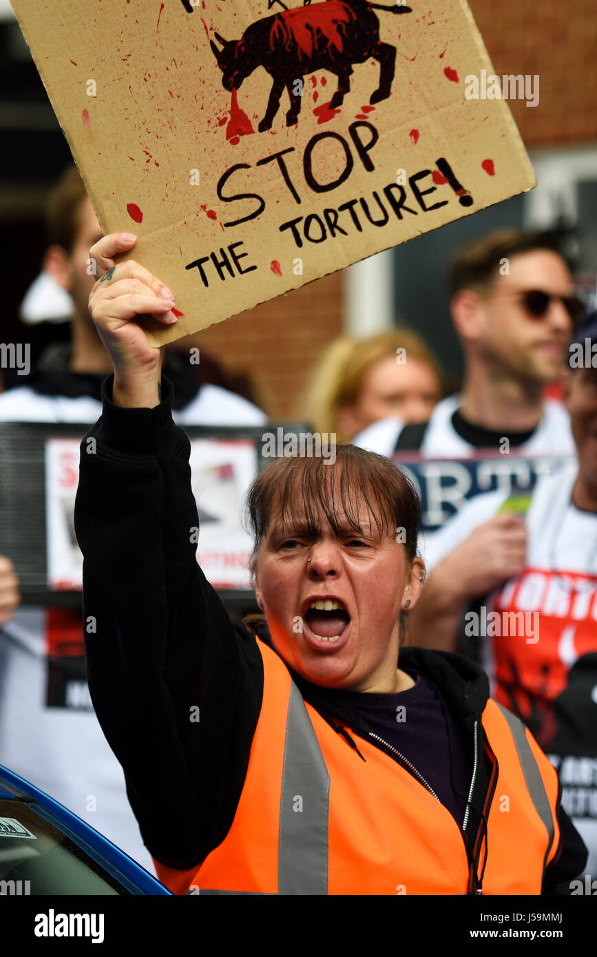 Femme en colère protestant contre la tauromachie lors d'une marche de manifestation qui s'est terminée devant l'ambassade d'Espagne à Londres, au Royaume-Uni Banque D'Images