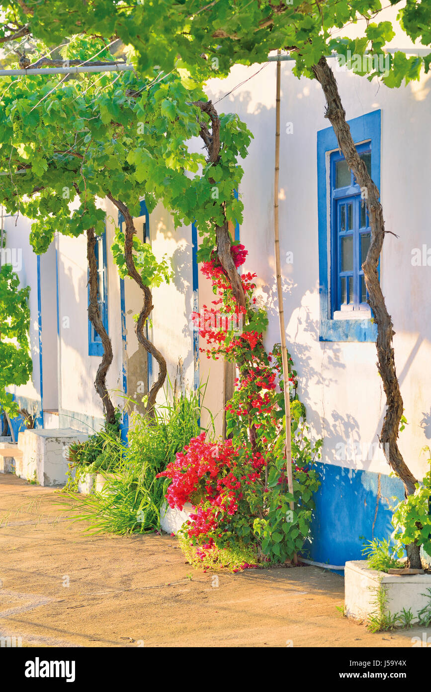 Maison rural pittoresque avec des cadres de fenêtre bleu et fleurs décorant les portes Banque D'Images