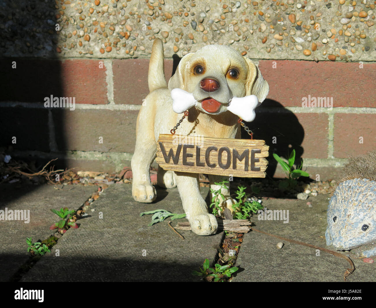 Various Dog-Themed Welcome Doorbells Vintage Resin Wall