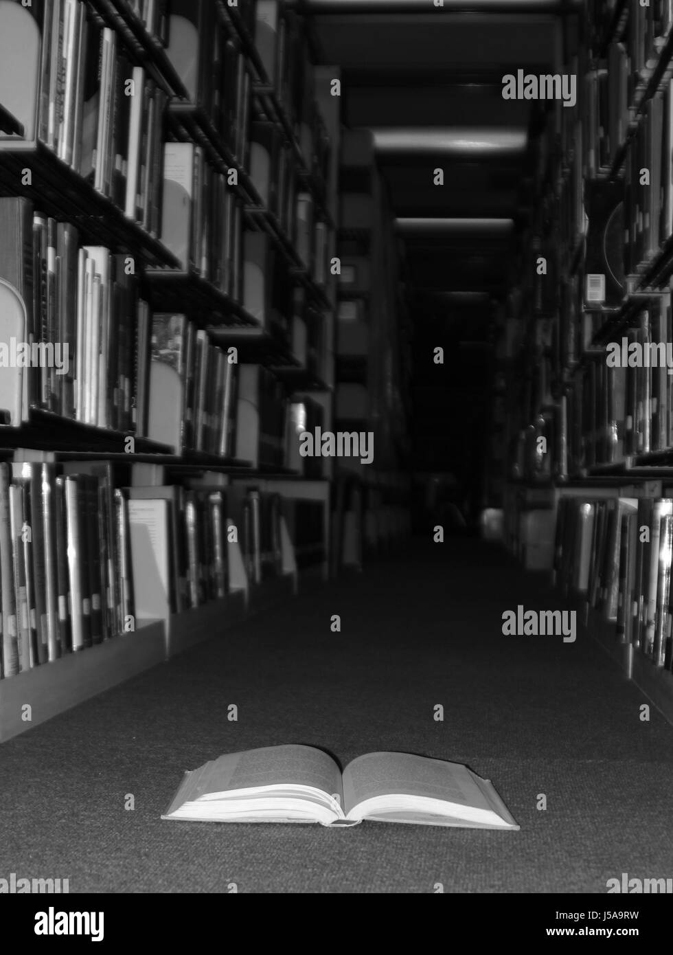 Apprendre les lettres de l'étude de l'université bibliothèque de recherche Numérisation livre étagères lit Banque D'Images