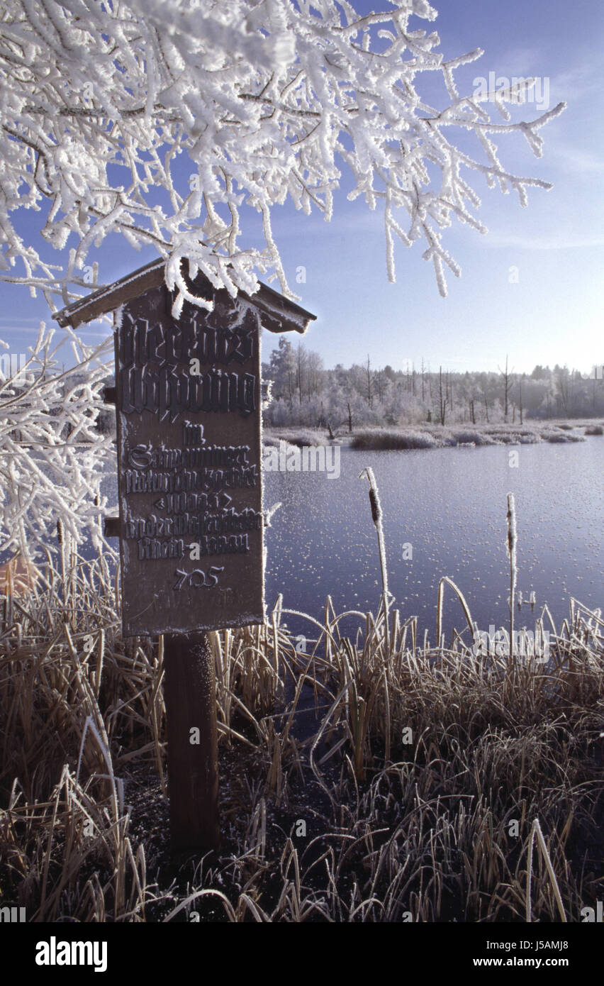 Inscrivez-bleu de la conservation de la nature froide fen mûres gelée blanche mousse glacée source Banque D'Images