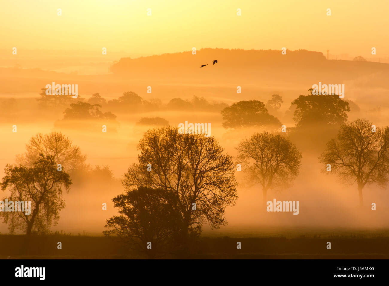 Le leicestershire au lever du soleil Banque D'Images