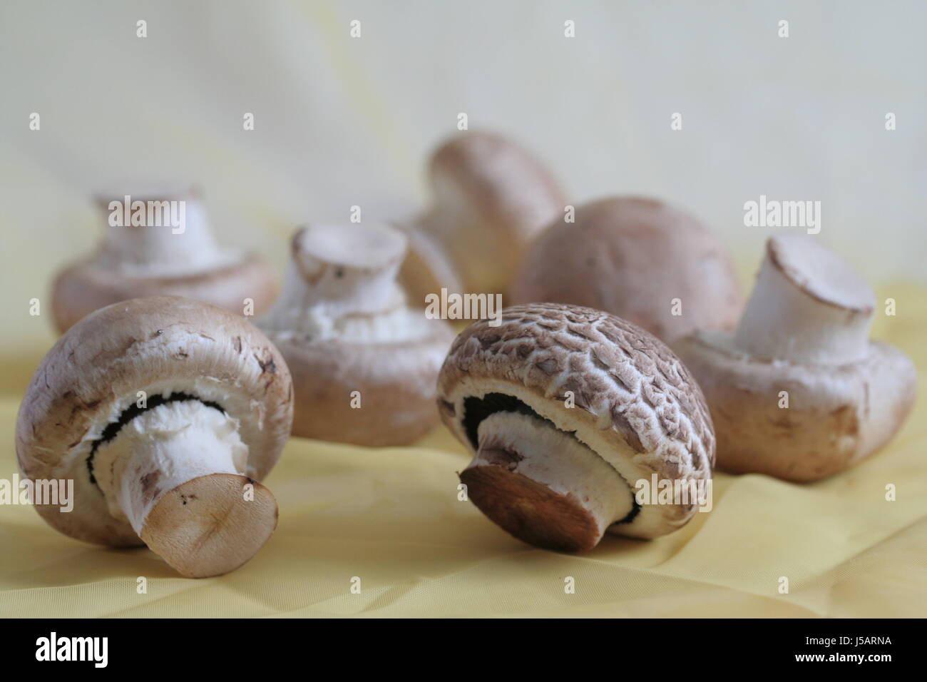 Cuisine Cuisine brunette brun marron champignon champignons chimney Banque D'Images