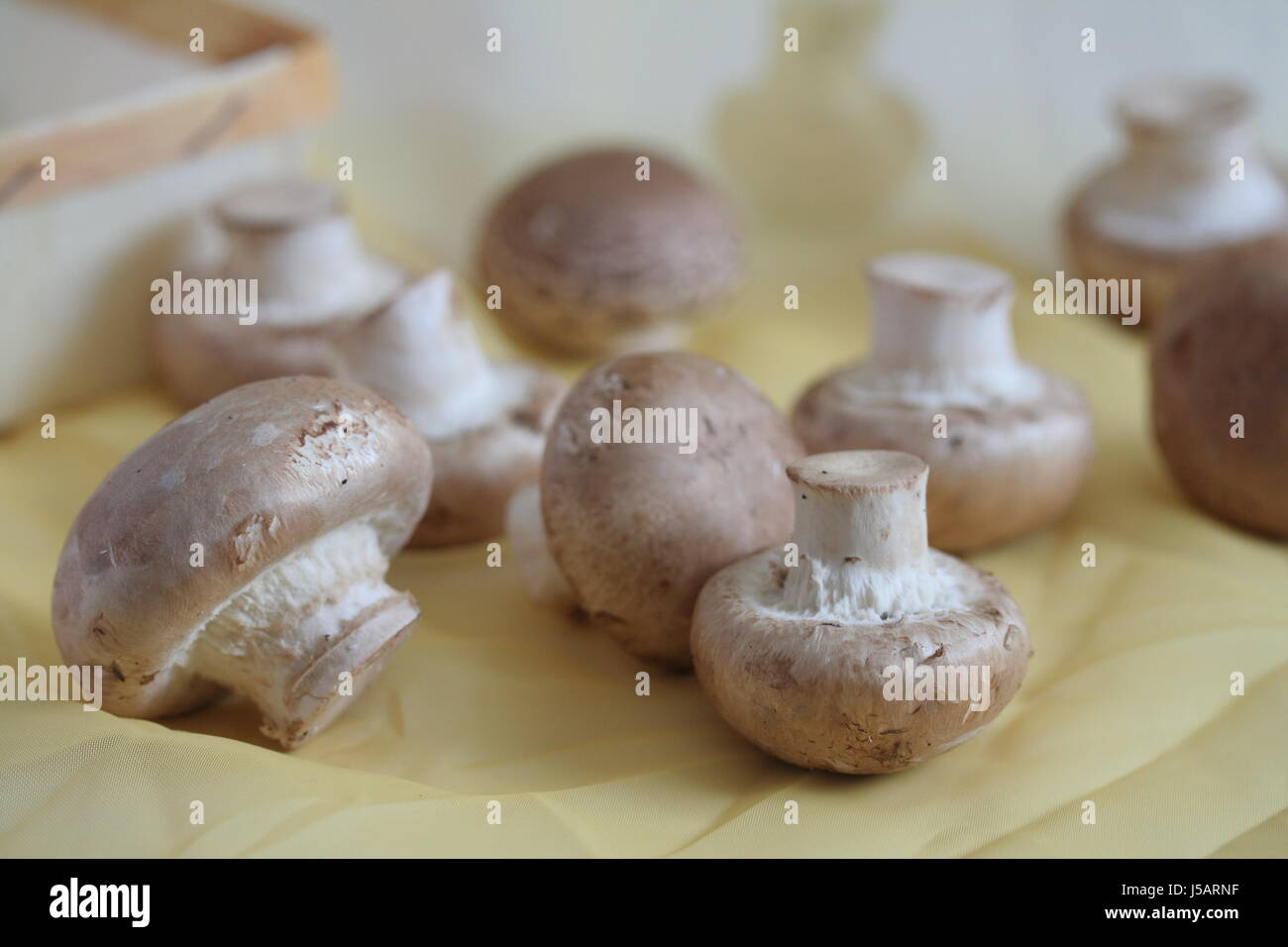 Cuisine Cuisine brunette brun marron champignon champignons chimney Banque D'Images