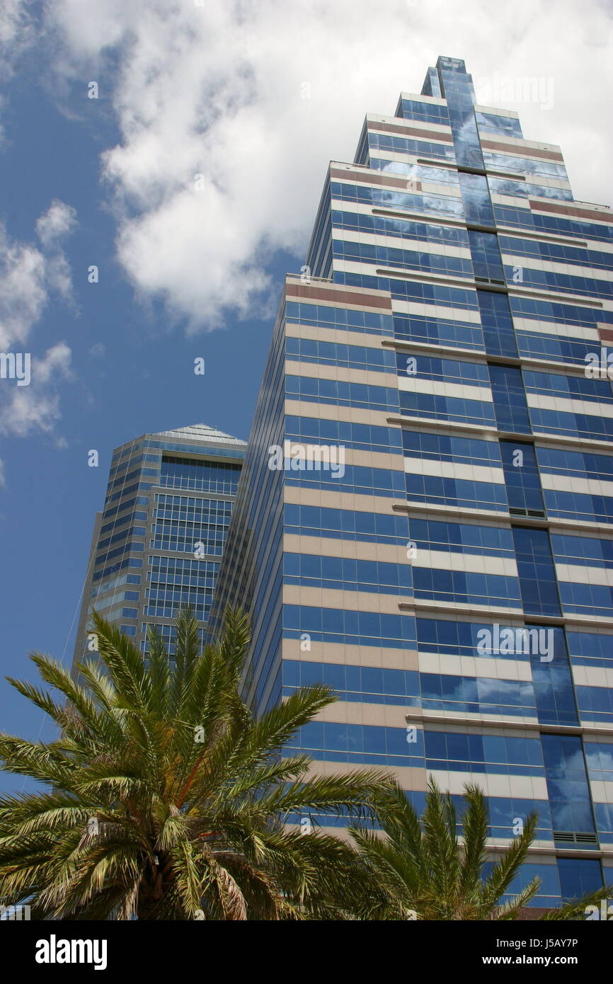 La mise en miroir graphique bleu america palm tree style façade de la construction Banque D'Images