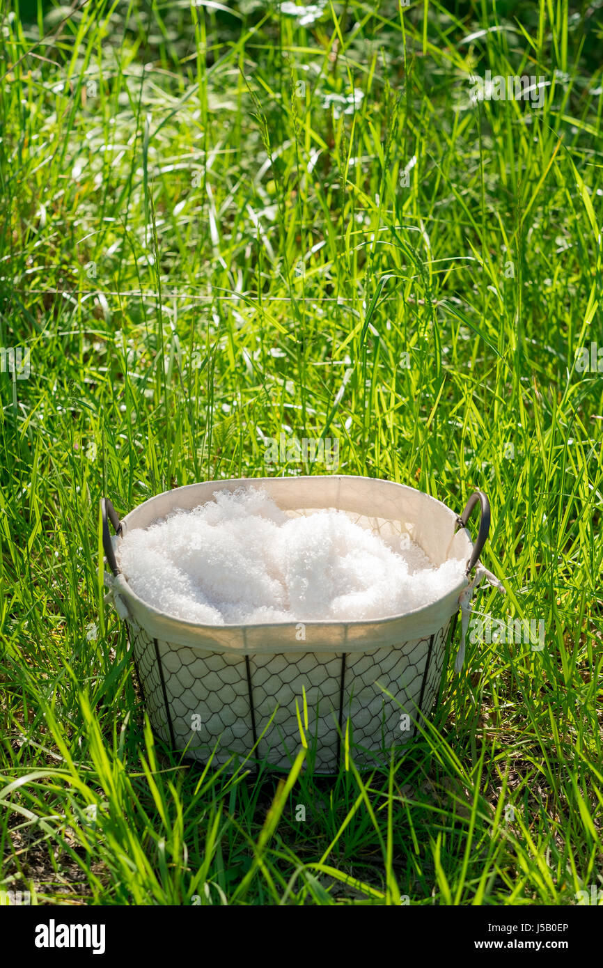 Portrait de famille de quatre à l'extérieur Banque D'Images