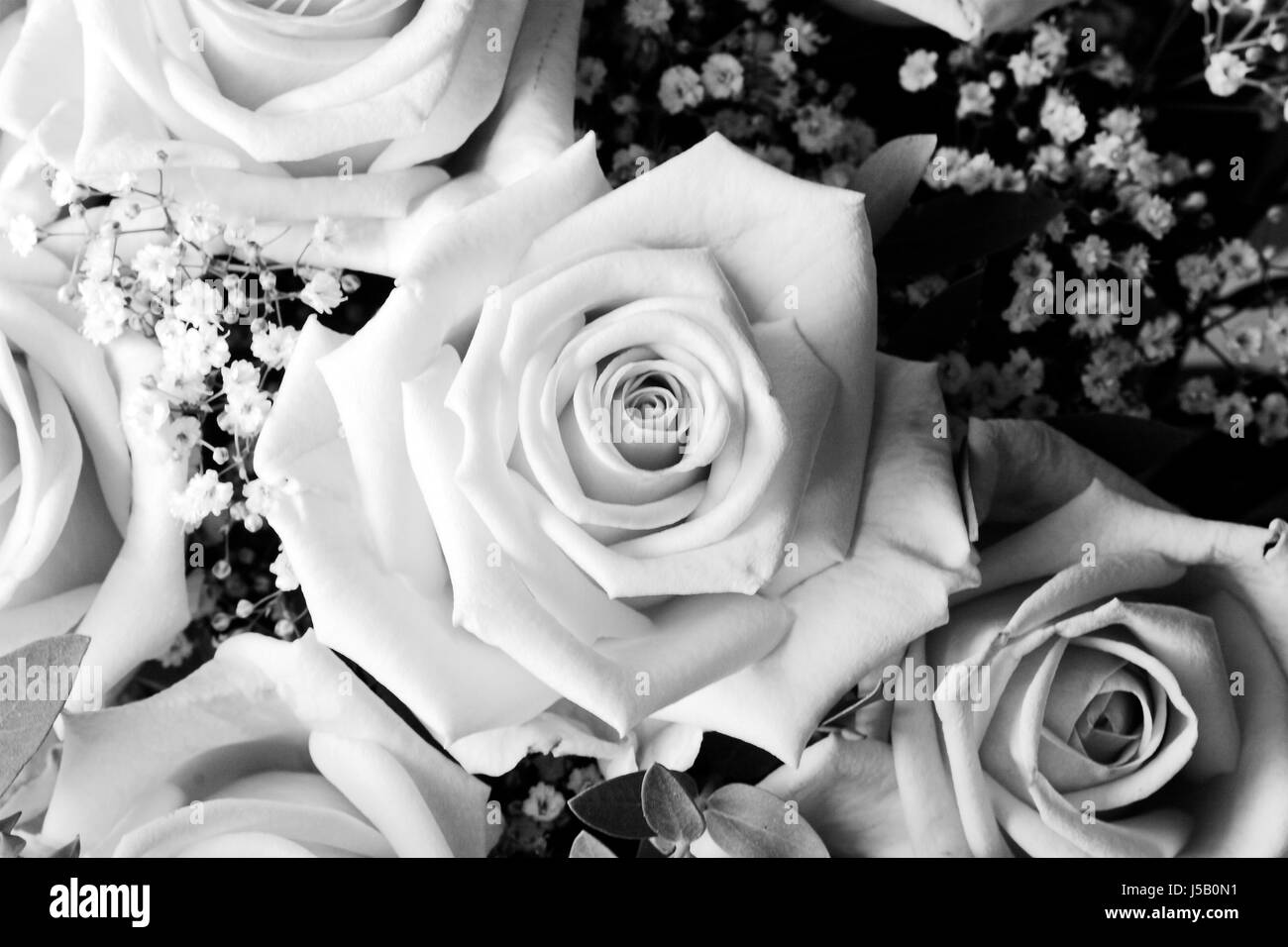 bouquet rose ii Banque D'Images