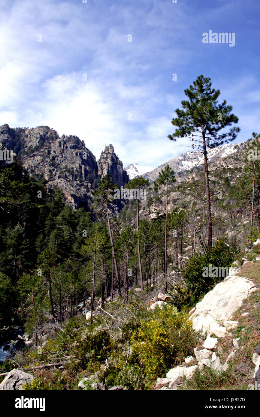 Ravins corse dentelées de la vallée de la Restonica schneebedekt boulder mountain Banque D'Images