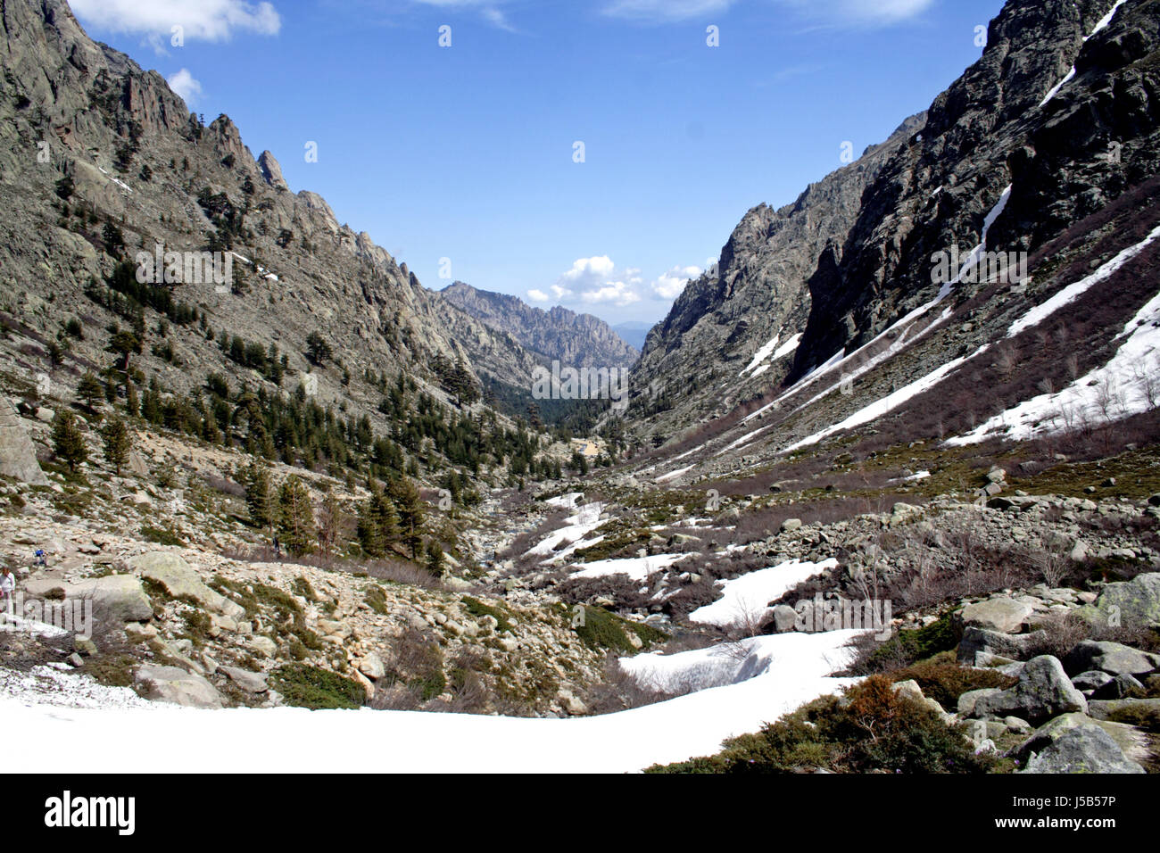 Ravins déchiquetés de la vallée de la Restonica schneebedekt gesteinsbrocken boulder mountain Banque D'Images