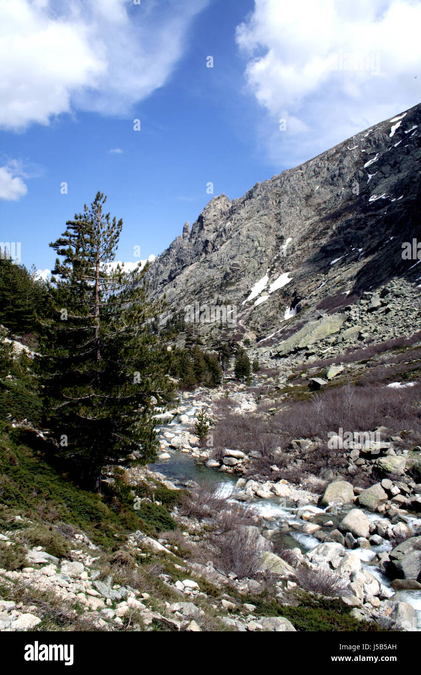 Ravins corse dentelées de la vallée de la Restonica schneebedekt boulder mountain Banque D'Images