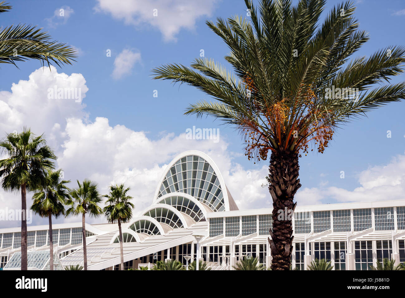 Orlando Florida,Orange County Convention Center,centre,arches,fenêtres,moderne,architecture palmiers,arbre,verre,salle d'événement,design,exposition exposant Banque D'Images