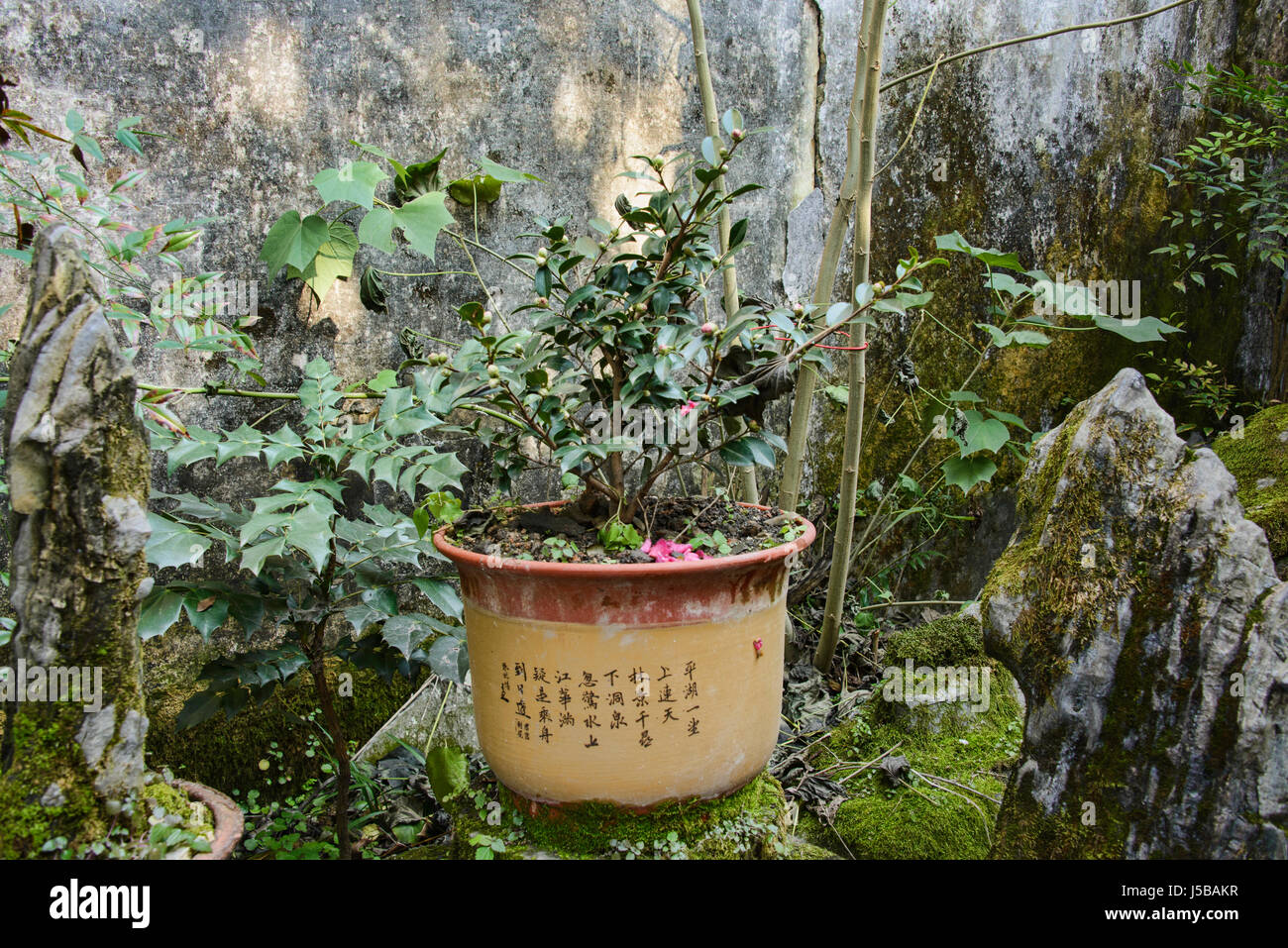 La vie dans l'ancien village de Xidi, Anhui, Chine Banque D'Images