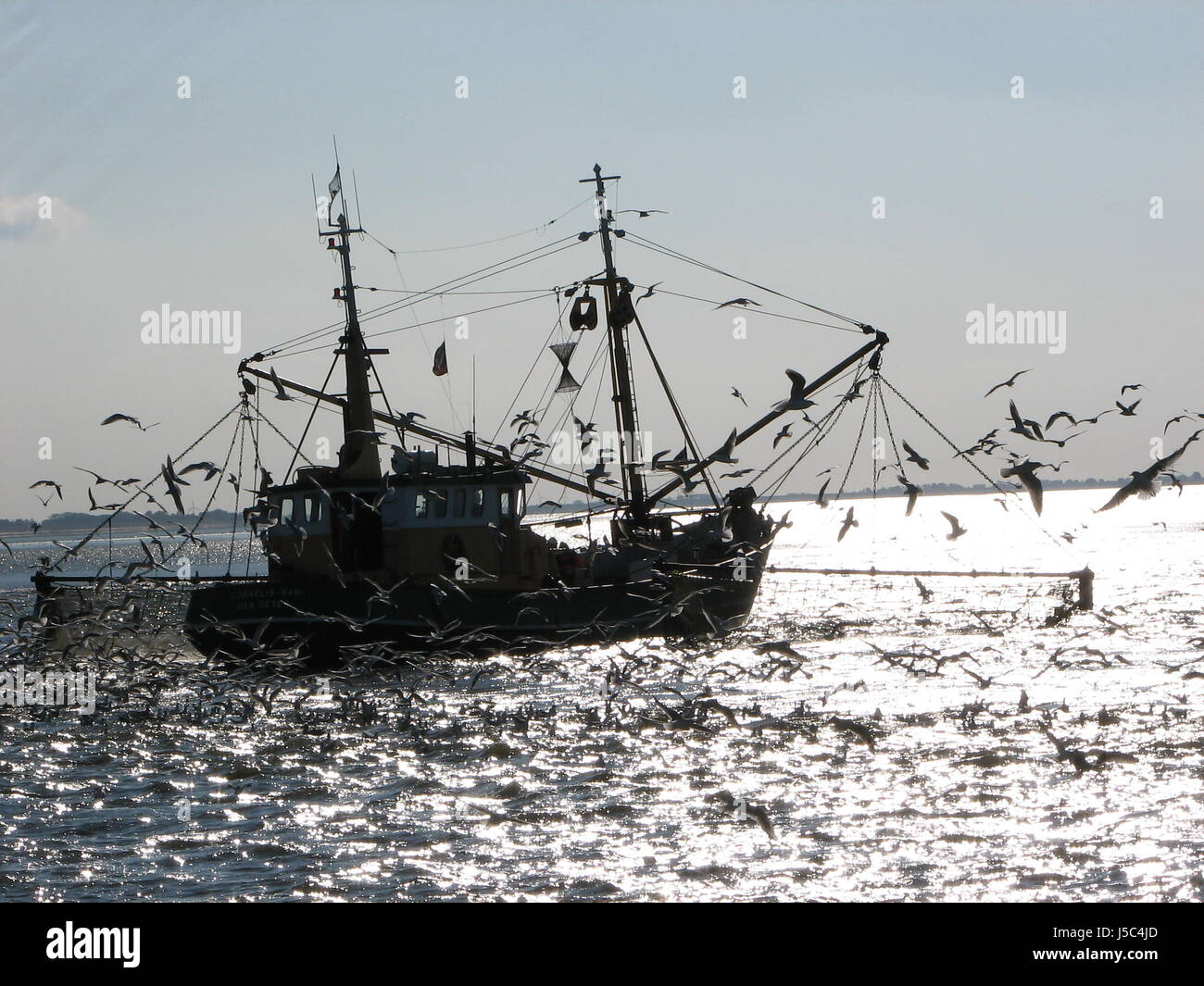 Navire de pêche pêche poisson brille brille lumineux sereine lumière lucent Banque D'Images