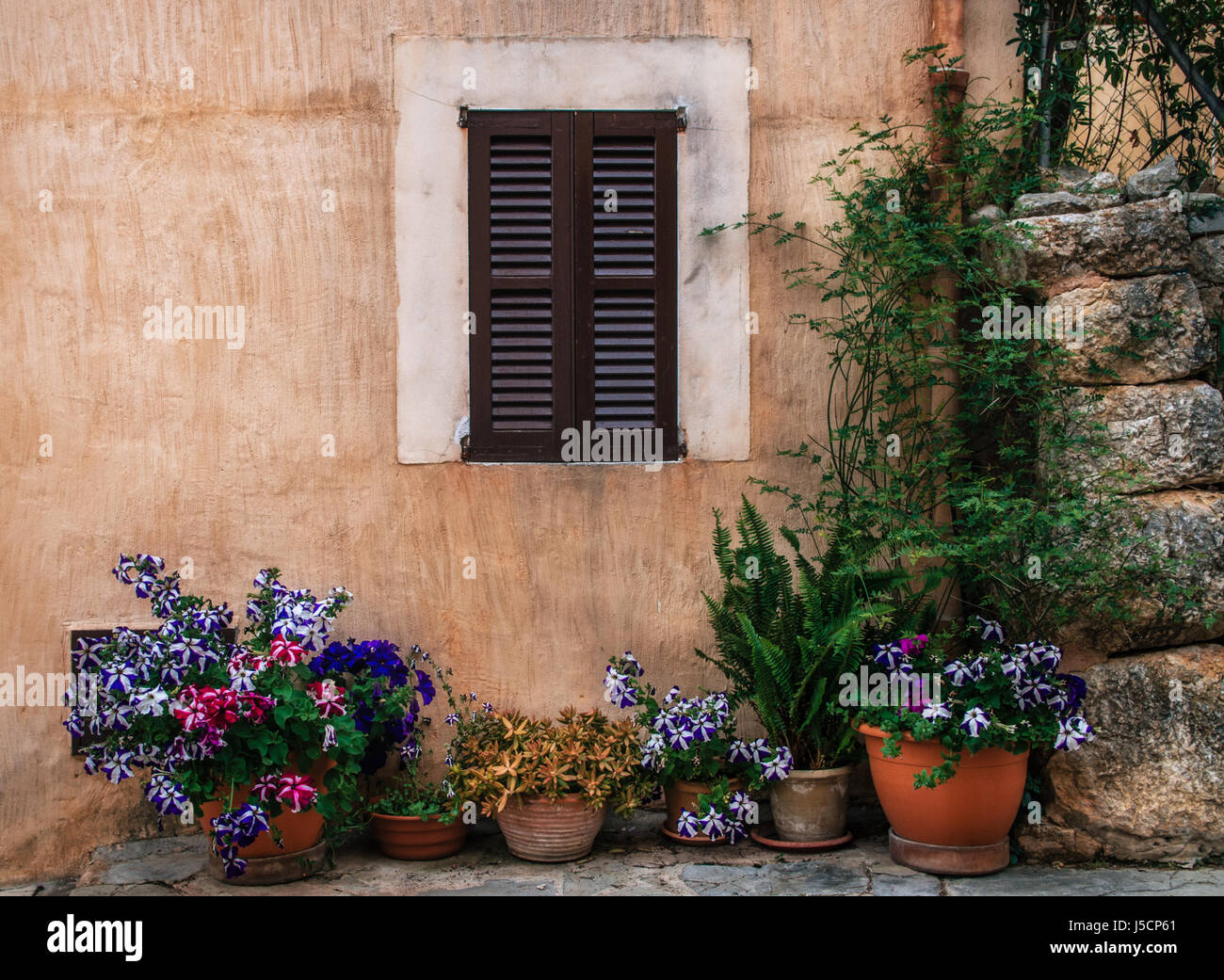 Rangée de pots en céramique avec fleurs de couleur sur un mur de pierre avec ses volets aux arrière-plan de la fenêtre. Vieille ville de Pollensa sur l'escalier Via Crucis, Majorque, Banque D'Images