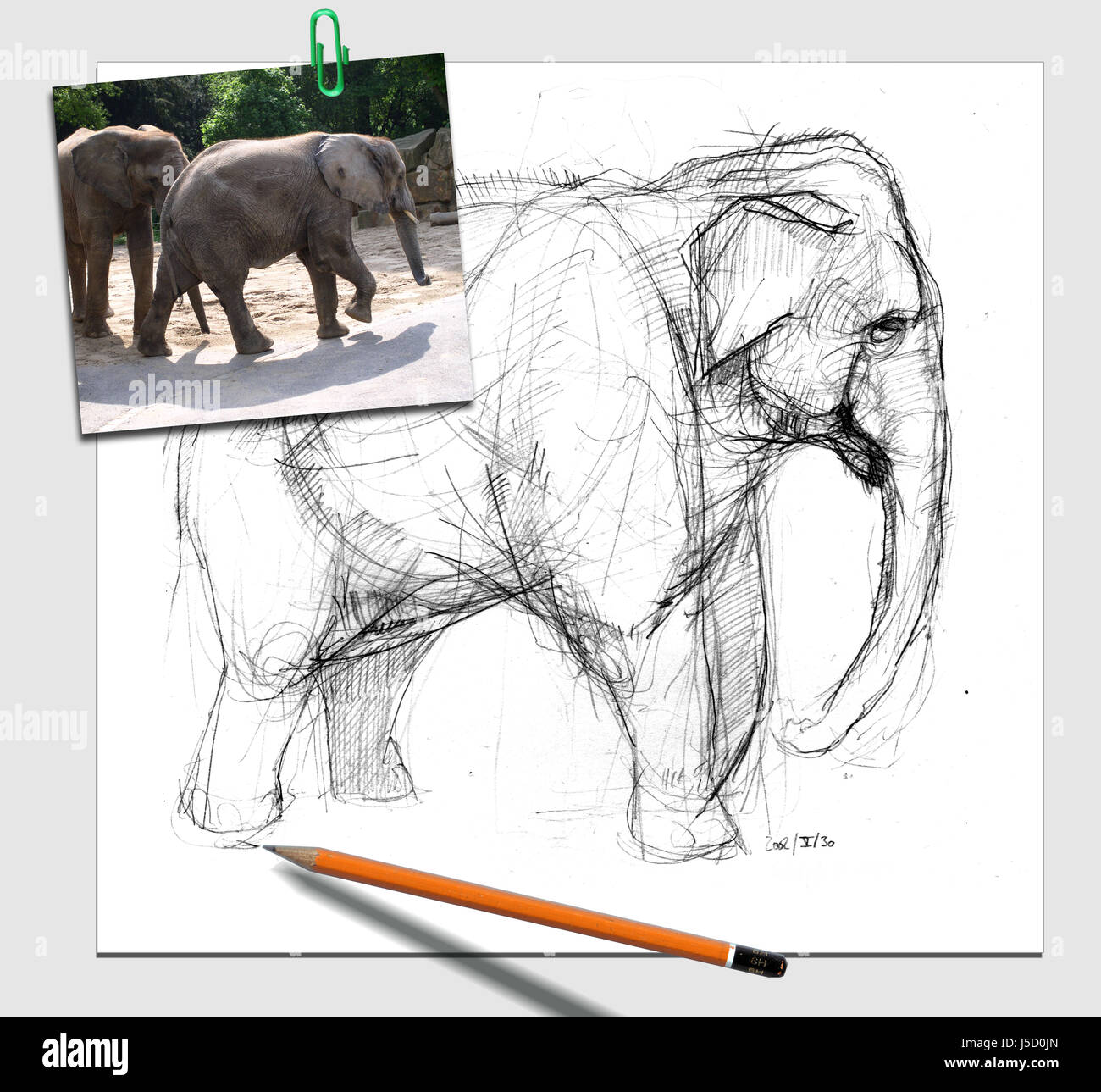 Animaux d'éléphant composition photo style stylo crayon photo dessin photo libre Banque D'Images