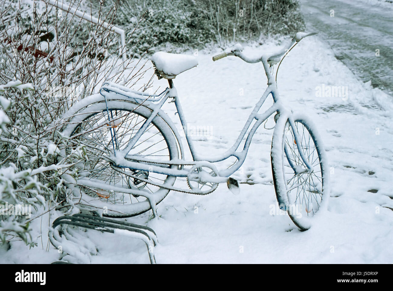 bloqués par la neige Banque D'Images