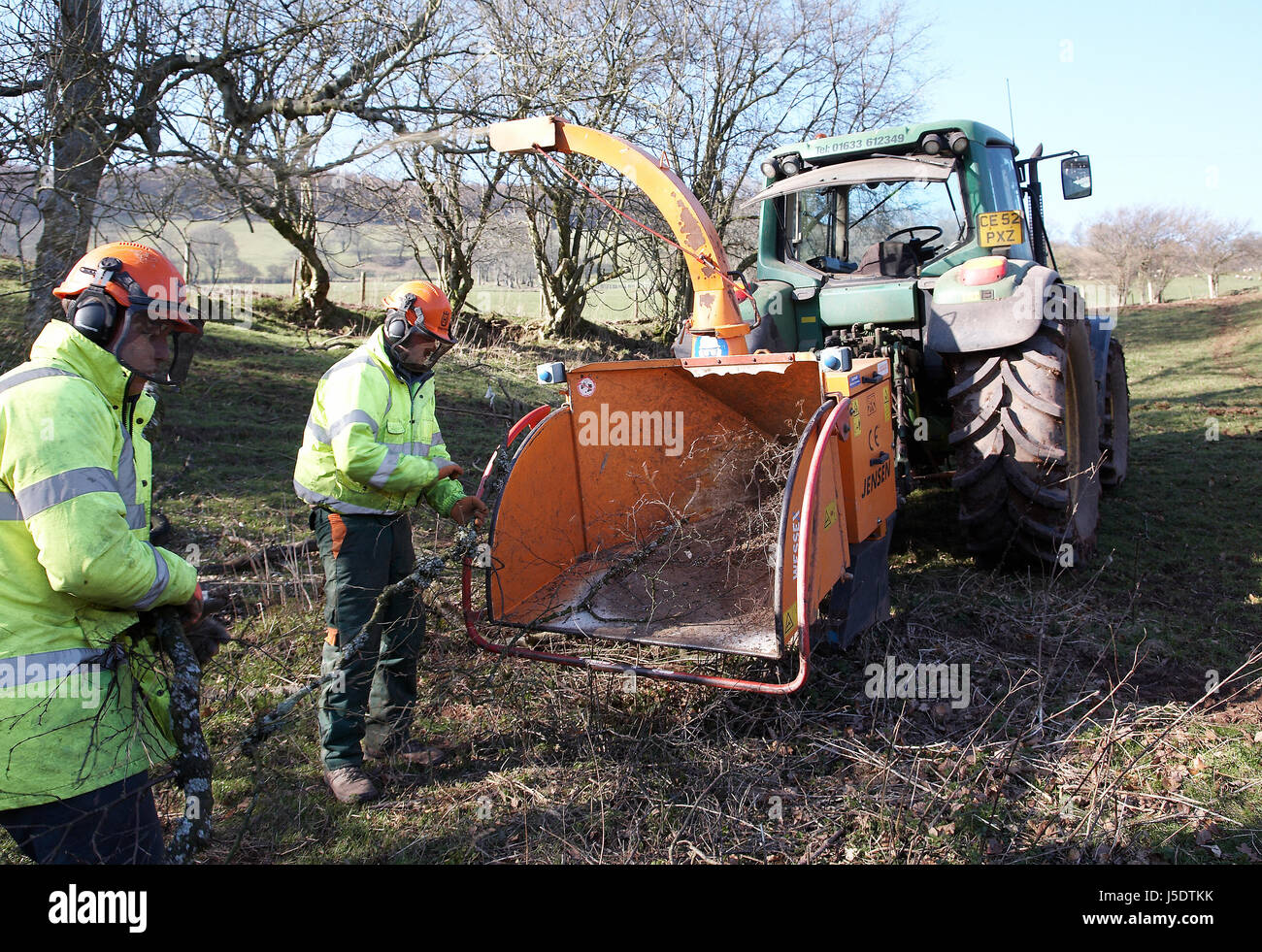 Le déchiquetage des ouvriers des arbres qui sont tombés dans les champs en raison de tempêtes dans le pays de Galles, Royaume-Uni. Banque D'Images