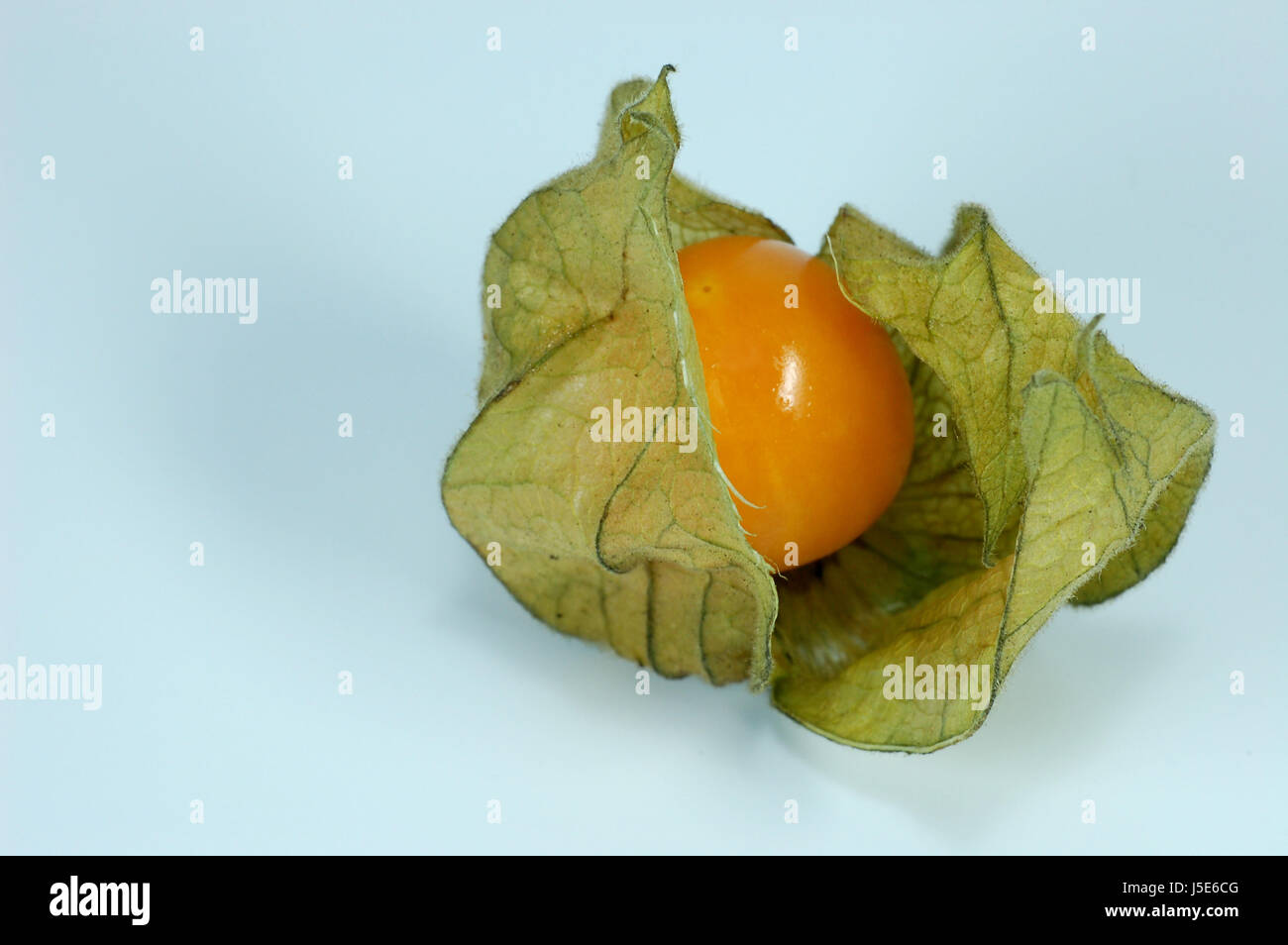 Vitamines,vitamines,fruits,un,exotiques,bol,single,,furtif physalis,1,vataminreich Banque D'Images